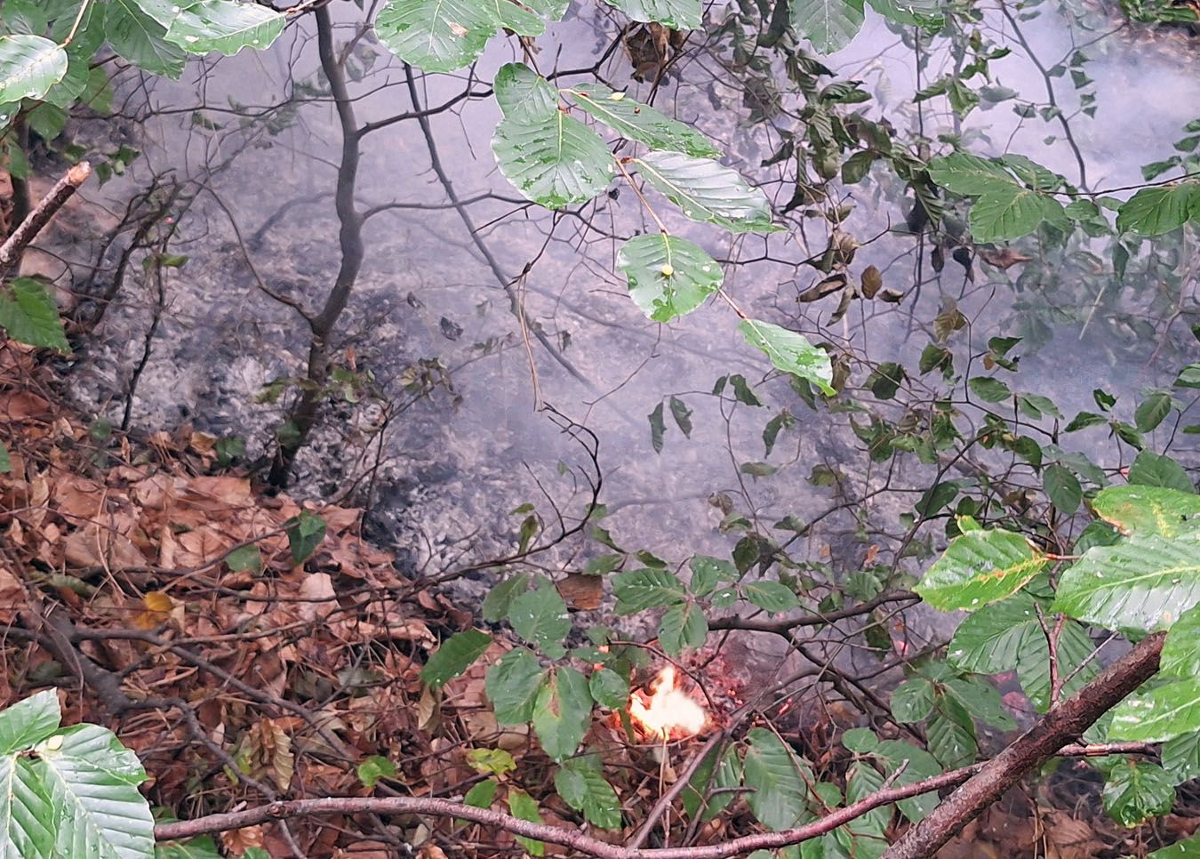 Blitzschlag löst Waldbrand am Guglzipf aus