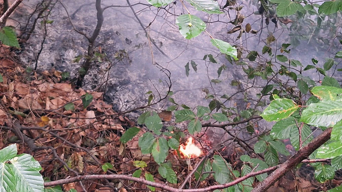 Heute.at - Blitzschlag löst Waldbrand am Guglzipf aus