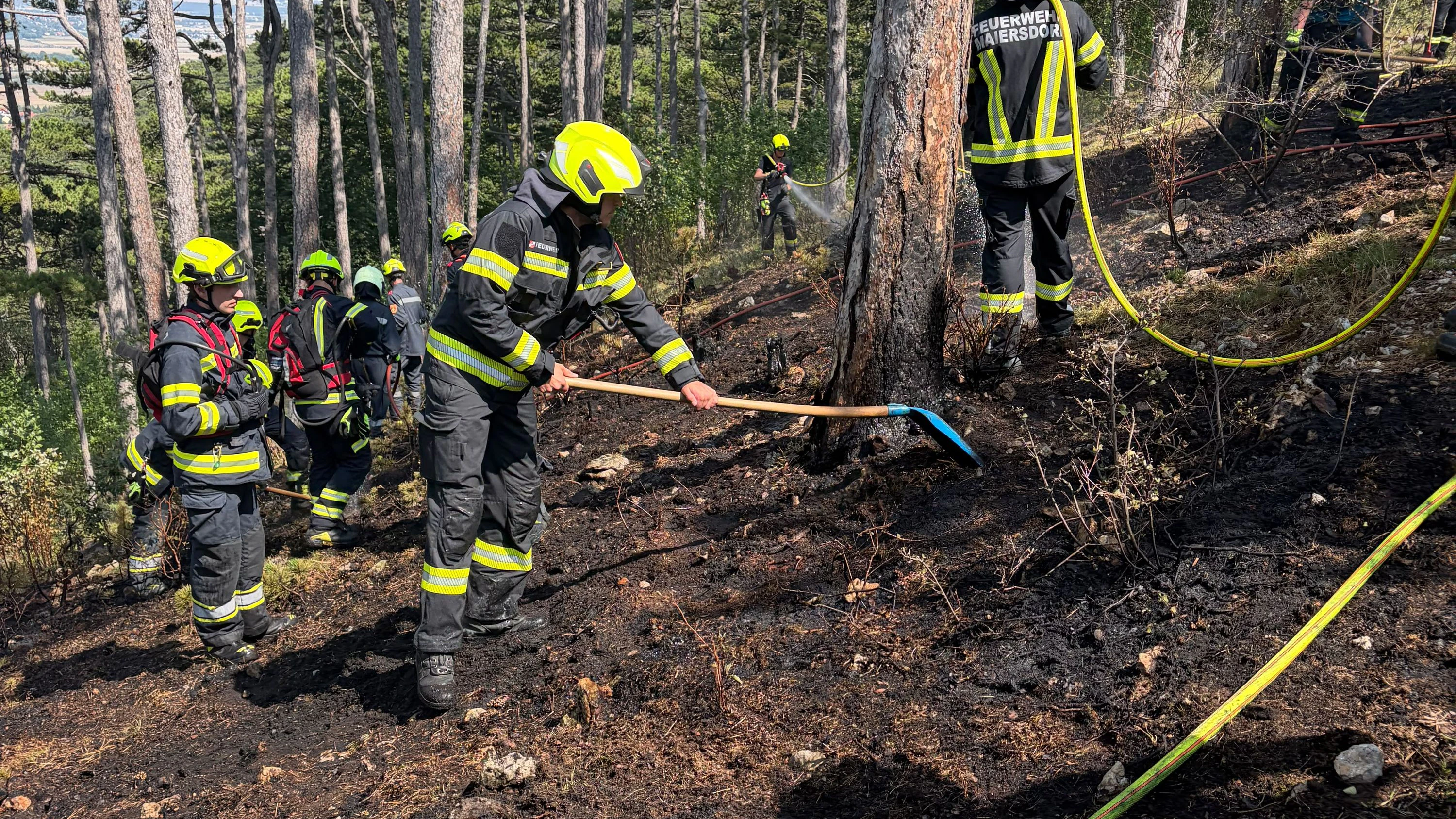 Einsatz für die Feuerwehren in Winzendorf
