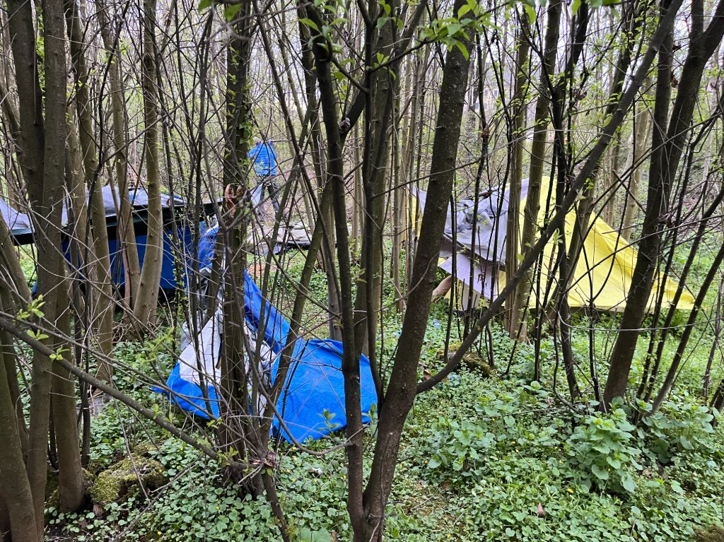 Auch im April des Vorjahres wurde ein illegales Bettlerlager in Linz geräumt.