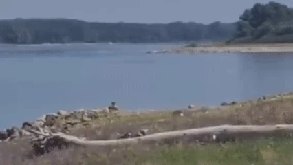 Heute.at - Donau-Pegel zu niedrig! Soldaten sprengen Wasser zu AKW