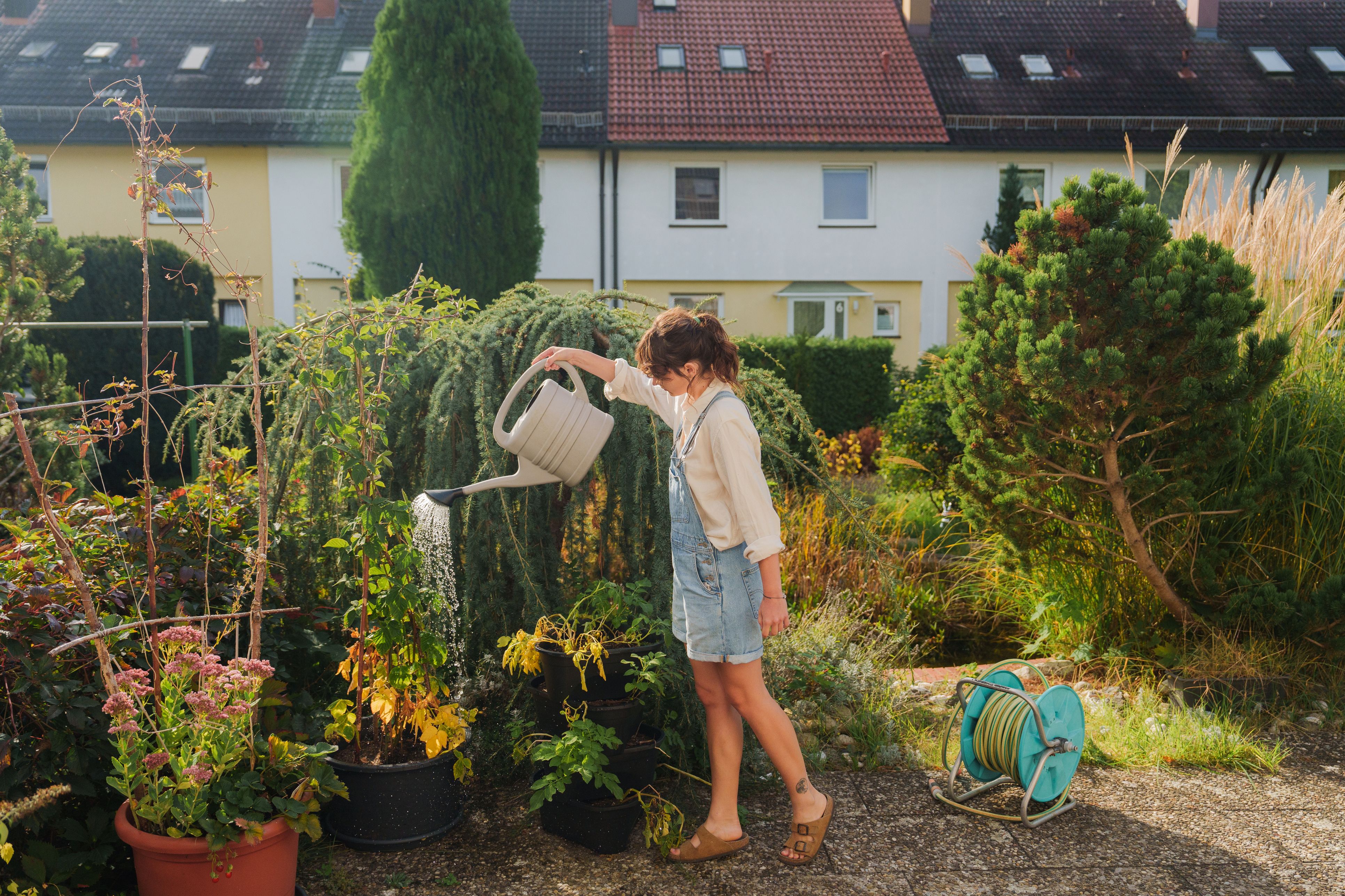 Im August wirkt der Garten oft pflegeleicht.