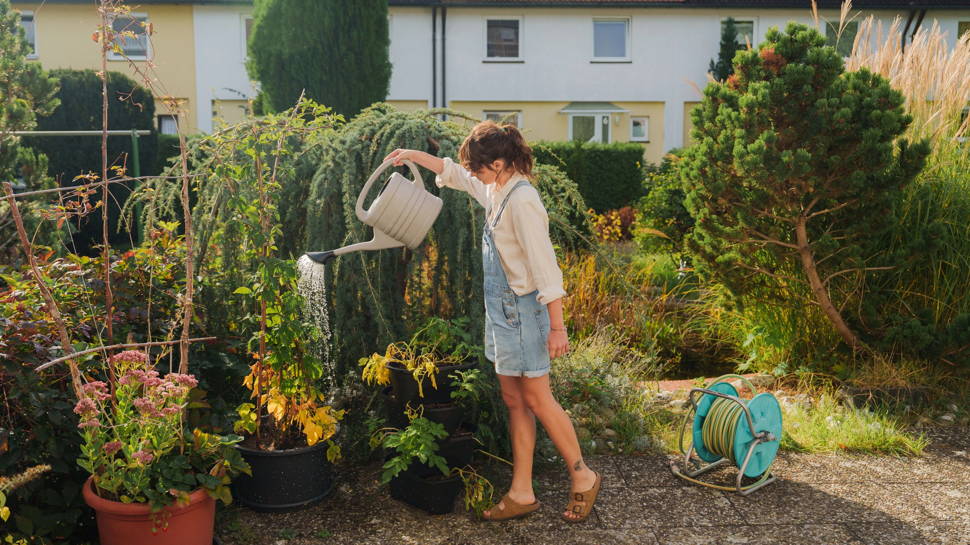 Heute.at - Diese Gartenarbeiten musst du im August noch erledigen
