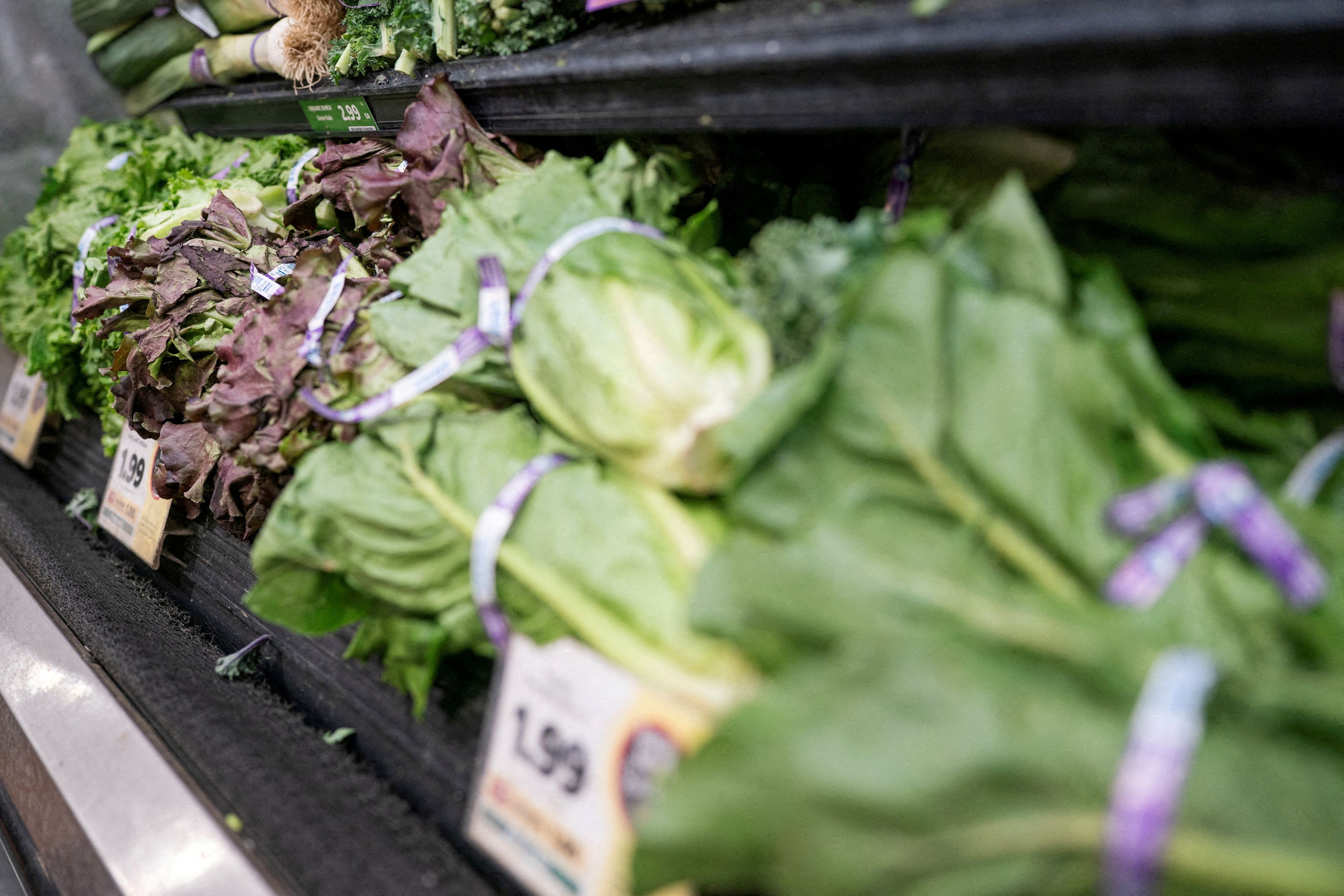 Die US-Lebensmittelbehörde FDA hatte zunächst Eisbergsalat eines mexikanischen Lieferanten in Verdacht. 