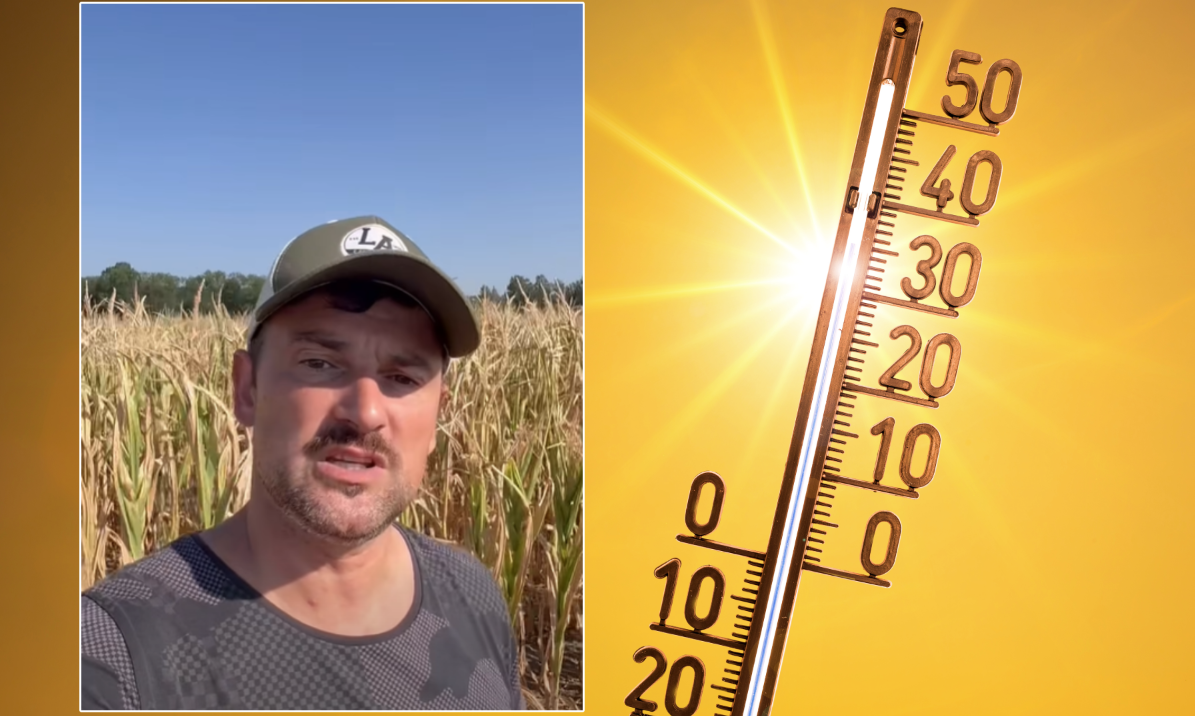 Heute.at - 44 Grad möglich – ORF-Star schockt jetzt alle