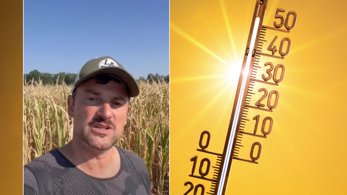 Heute.at - 44 Grad möglich – ORF-Star schockt jetzt alle