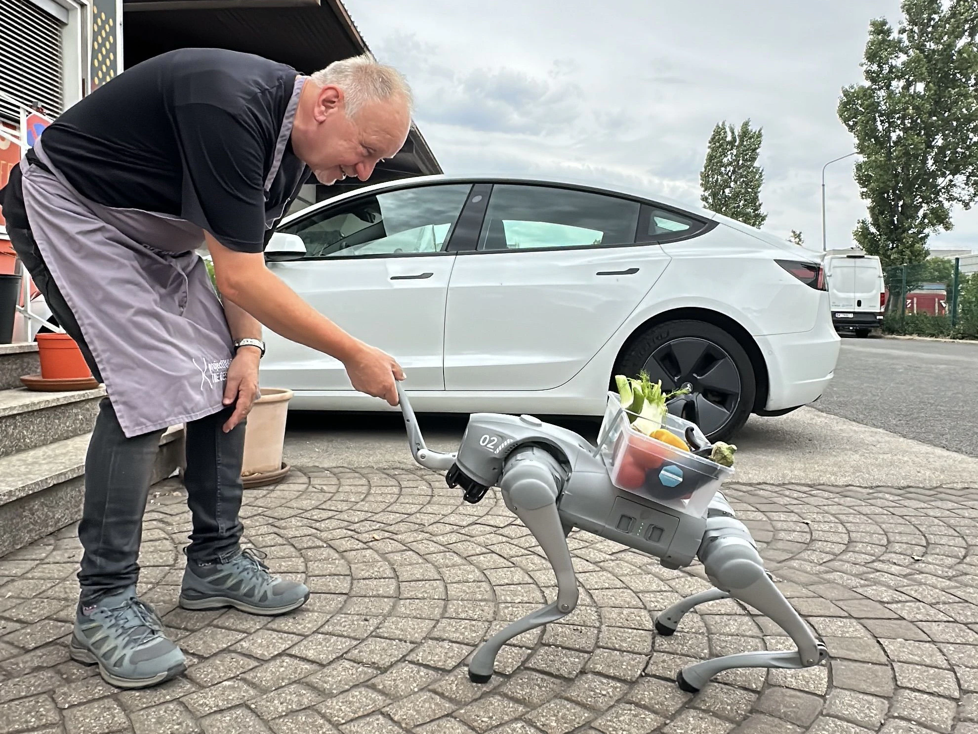 Robodog KI-tty liefert gerettete Lebensmittel bei der Tafel Österreich an.