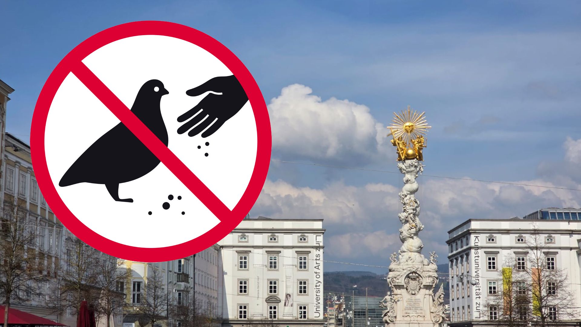 Ein Fütterungsverbot von Tauben steht in der Landeshauptstadt offenbar schon in den Startlöchern.