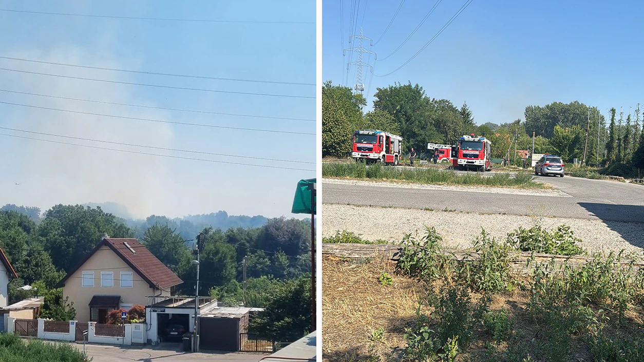 Heute.at - Feuer in der Lobau: Riesen-Einsatz läuft bei Gluthitze