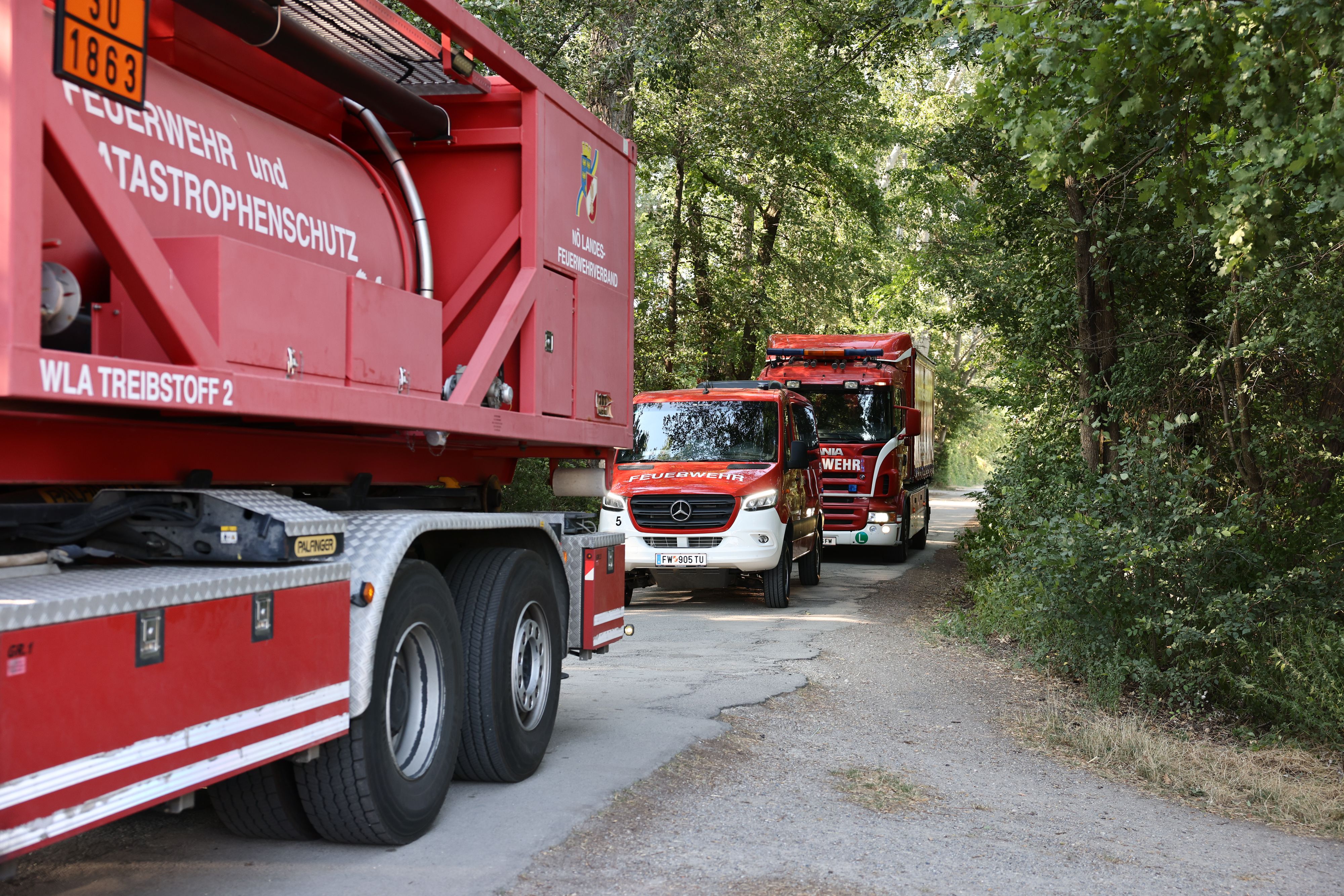 Heute.at - Nach Großbrand – nun werden Bäume in der Lobau gefällt