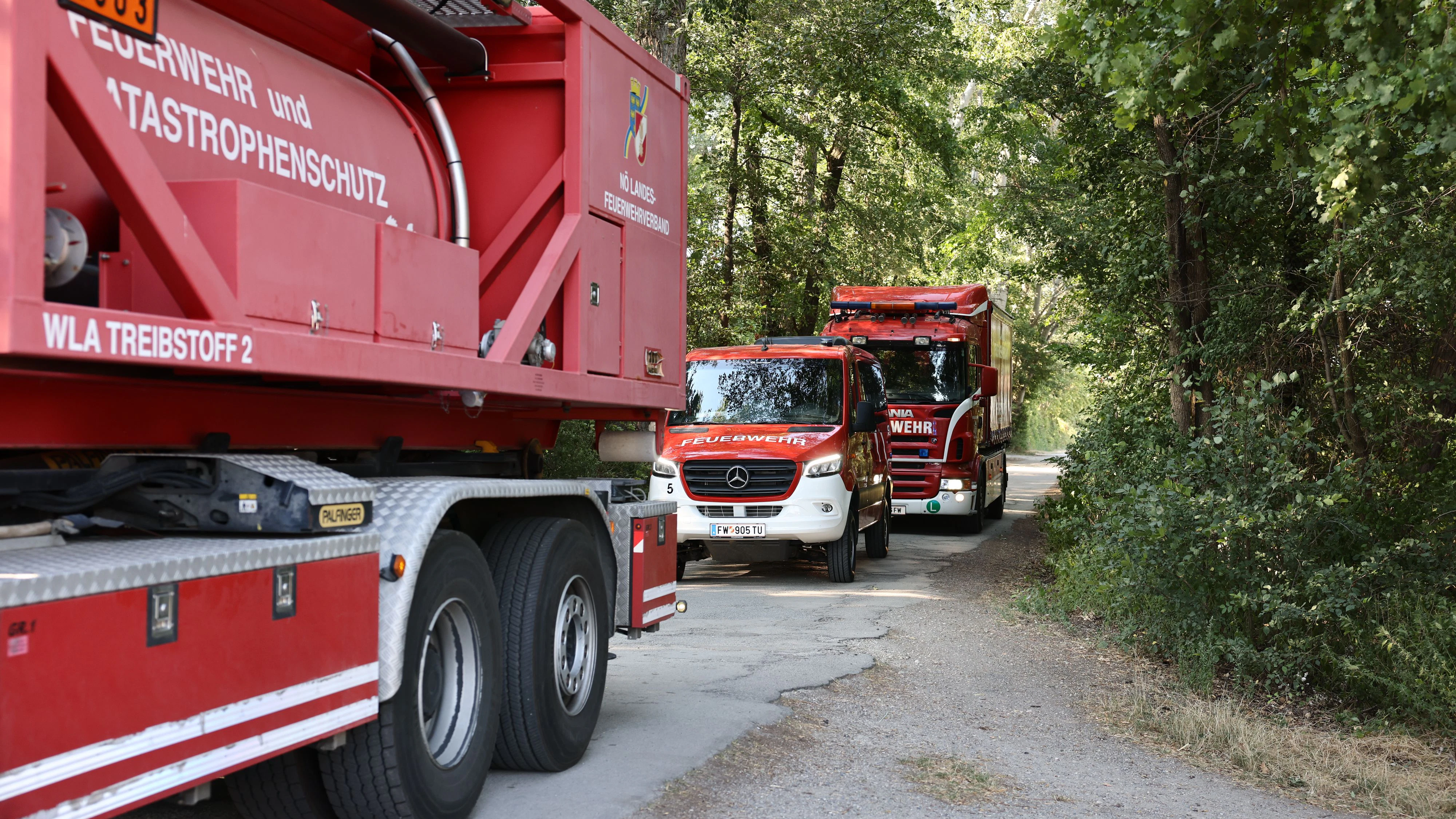 Heute.at - Nach Großbrand – nun werden Bäume in der Lobau gefällt