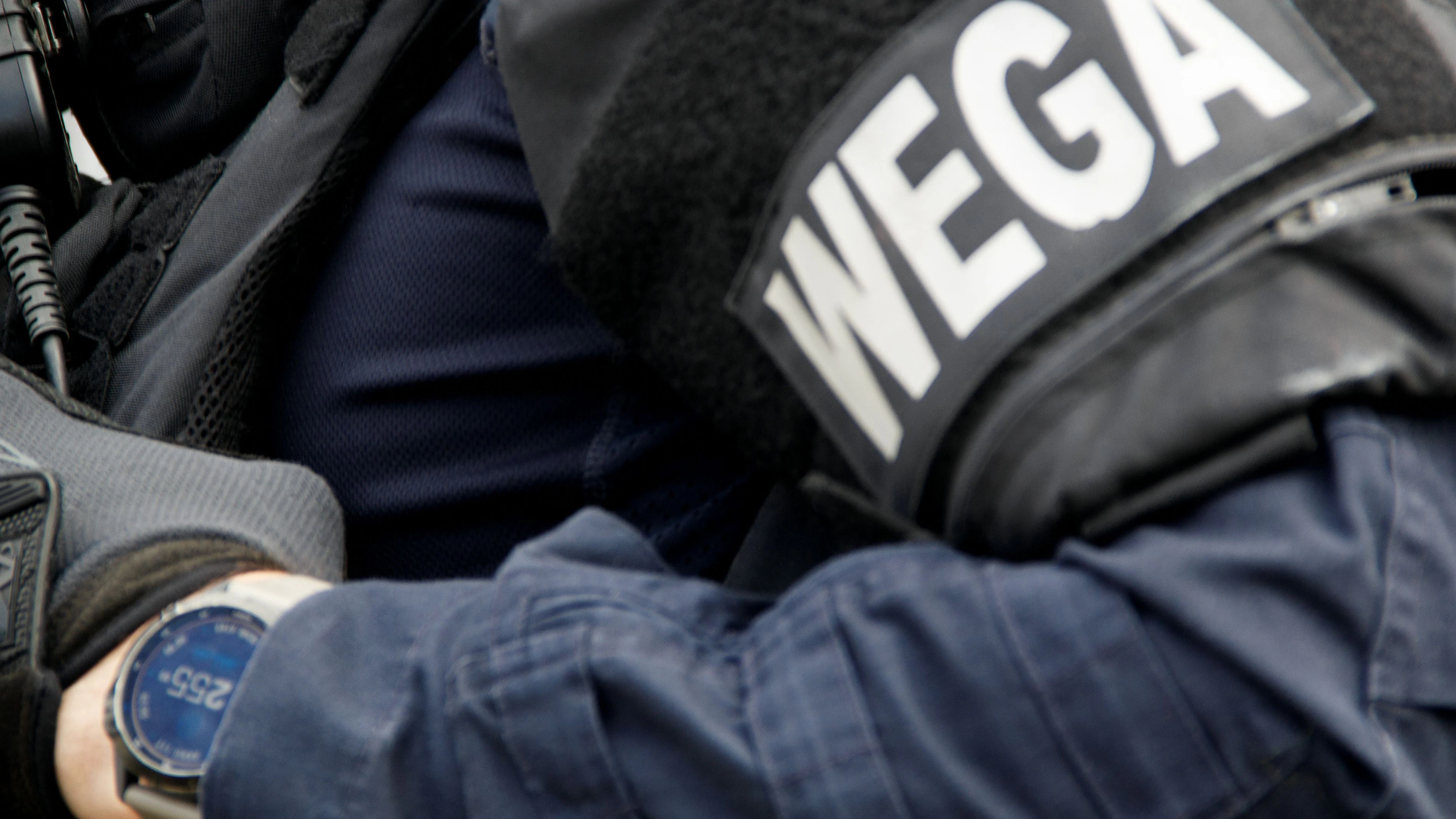 Die WEGA rückte an. 