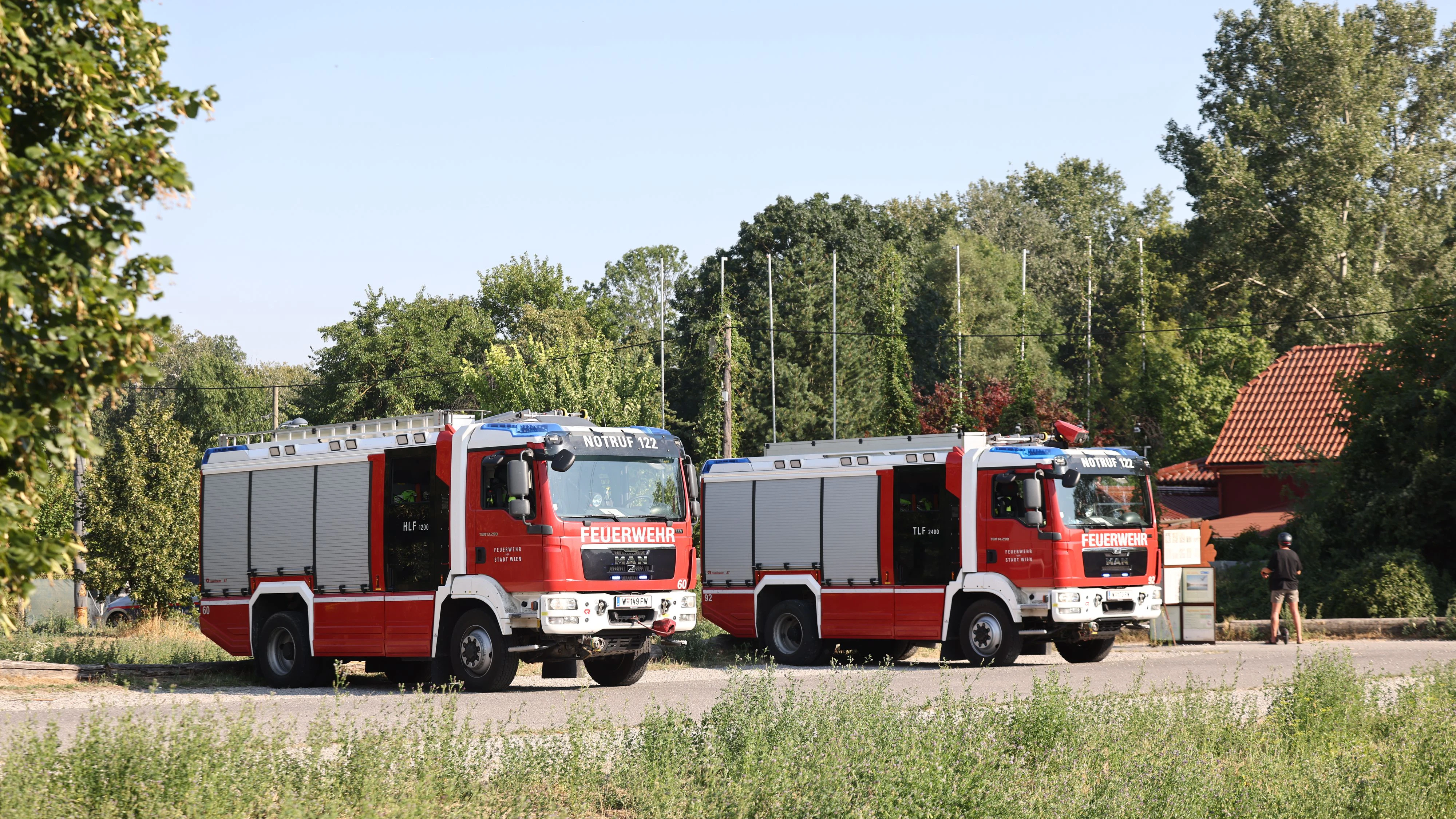 Heute.at - Riesen-Feuer! Tschickstummel löste Lobau-Großbrand aus