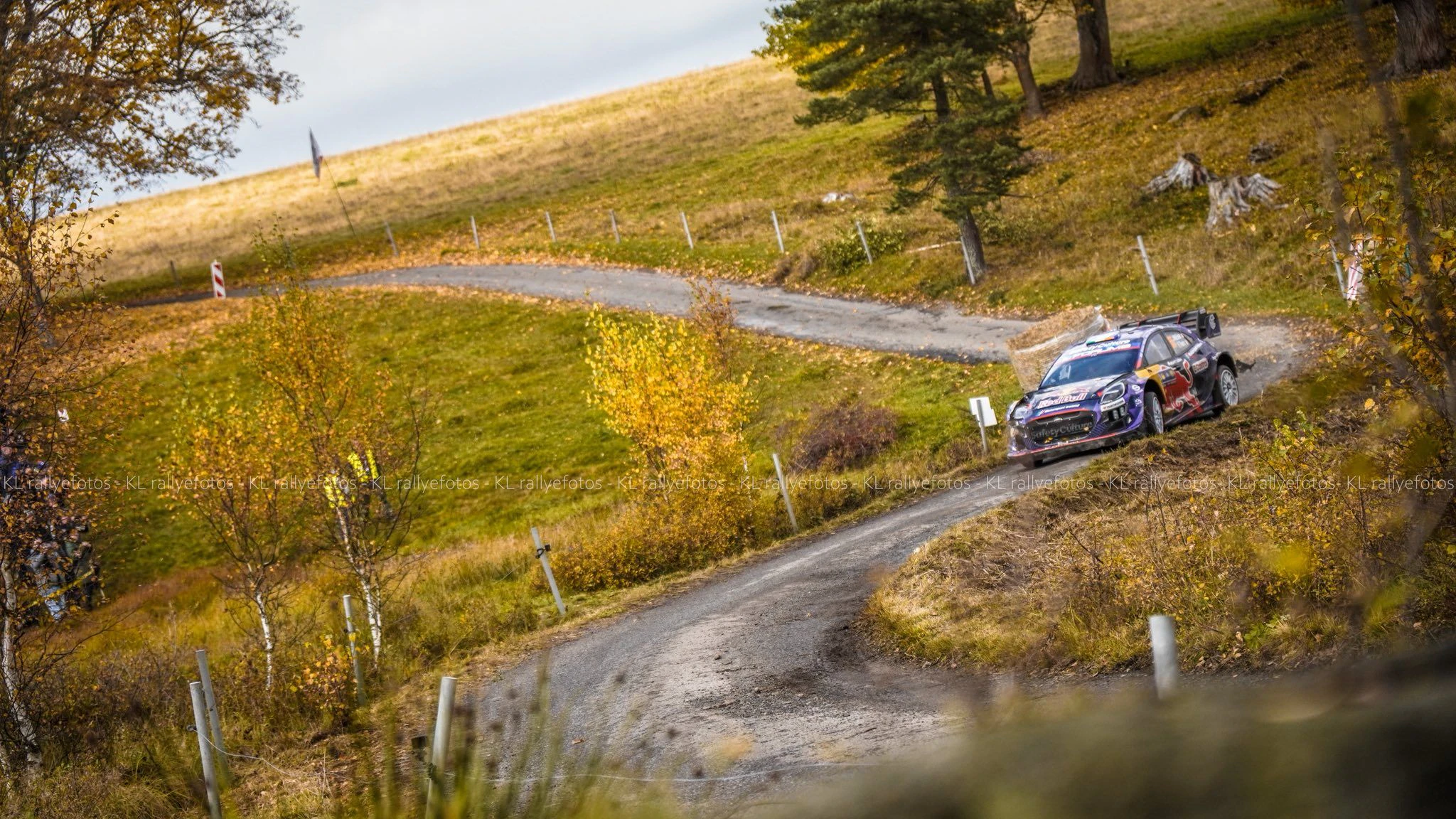 Grasl-Rallye Horn