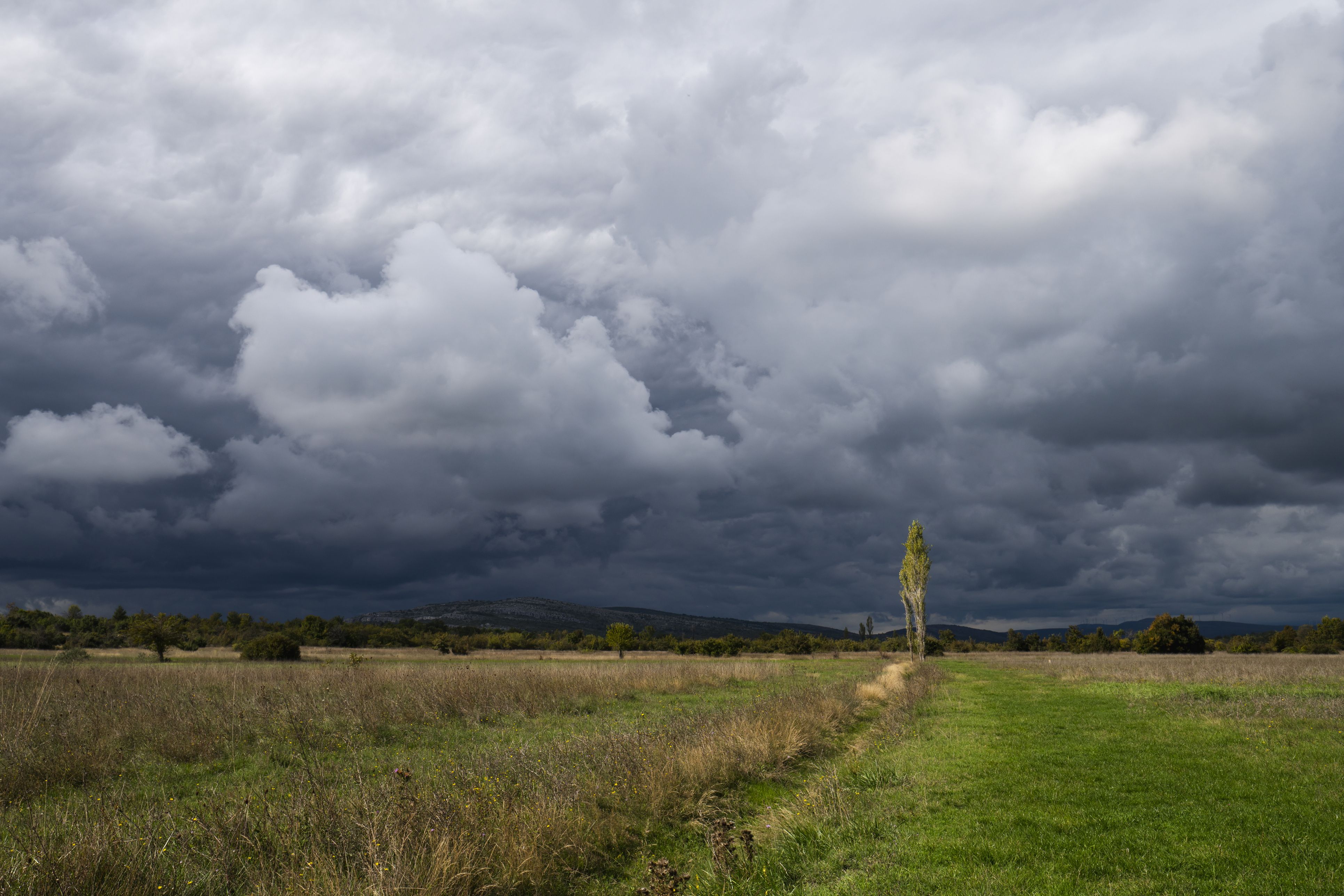 Heute.at - Warnstufe Rot – erste Hitze-Gewitter über Österreich