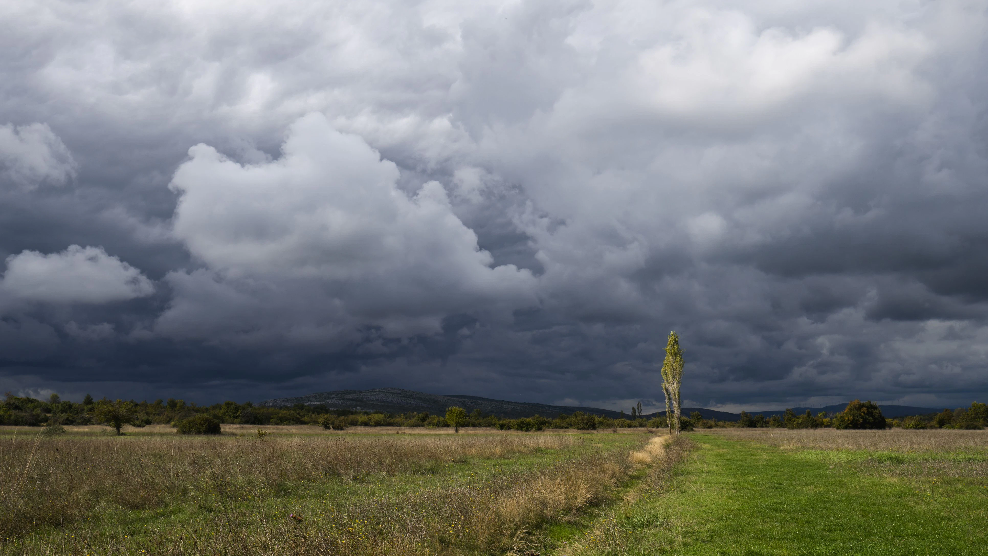 Heute.at - Warnstufe Rot – erste Hitze-Gewitter über Österreich
