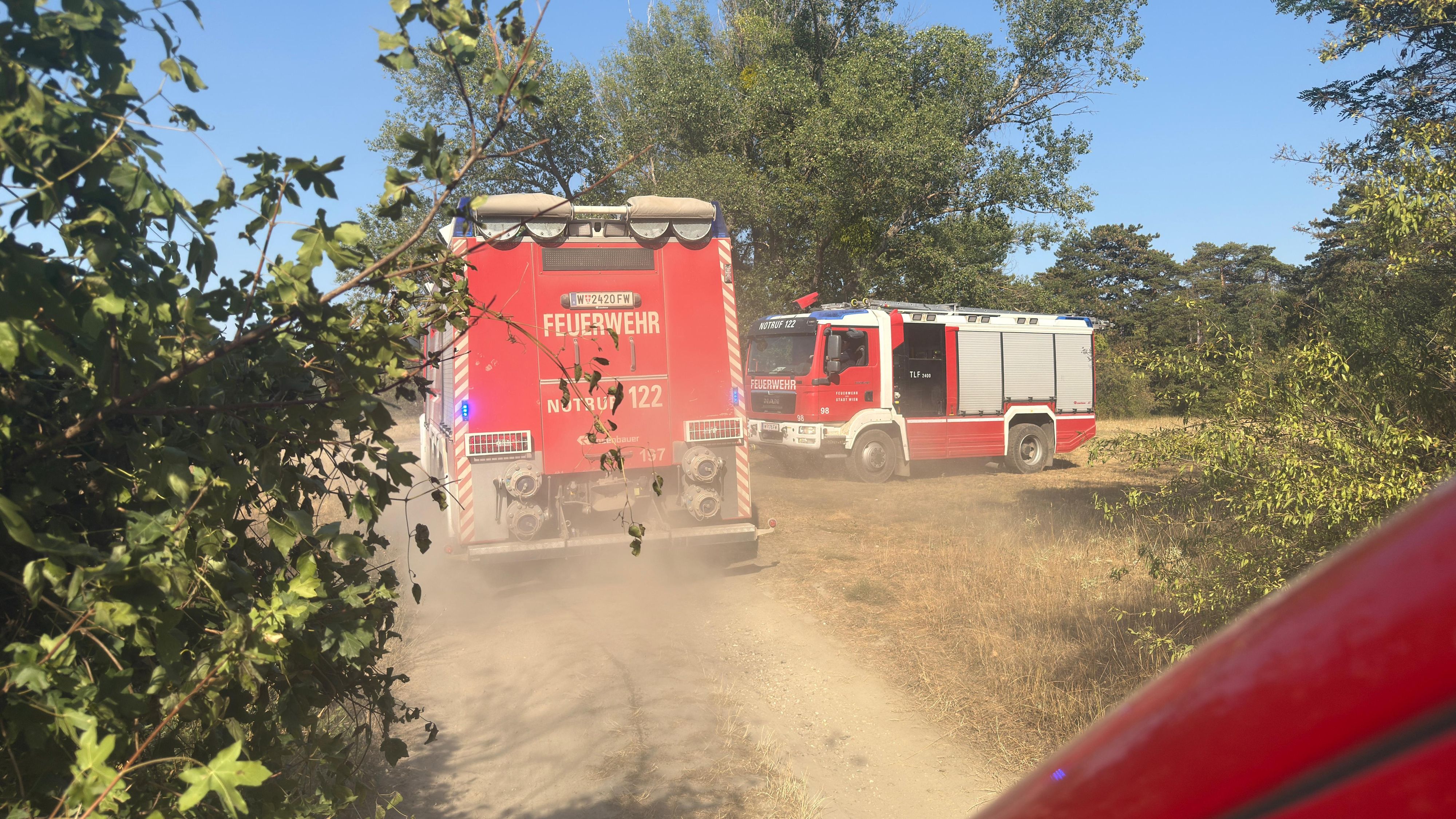 Feuer: Großeinsatz in Groß-Enzersdorf