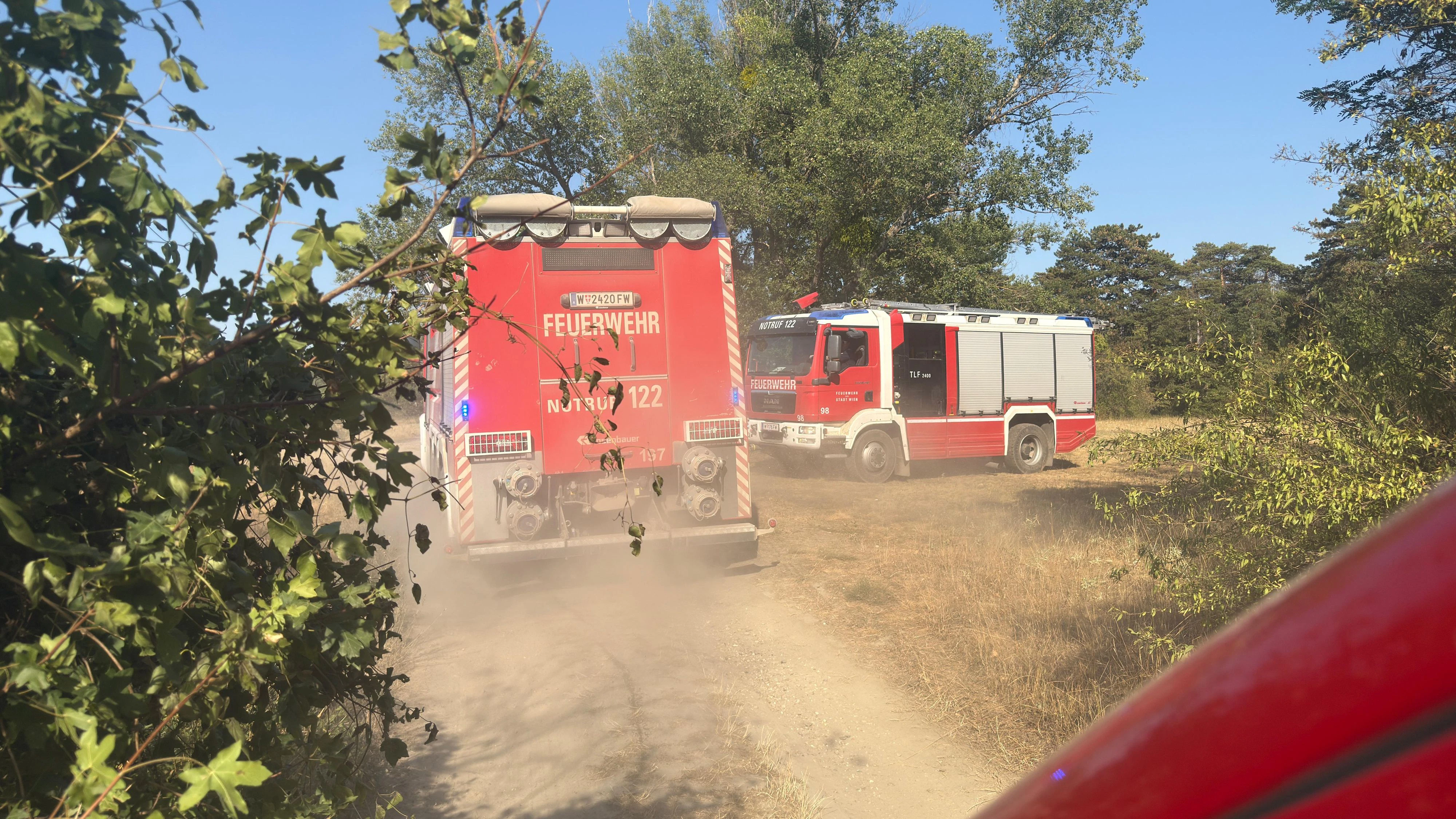 Heute.at - Höchste Alarmstufe! Über 300 Feuerwehrleute im Einsatz