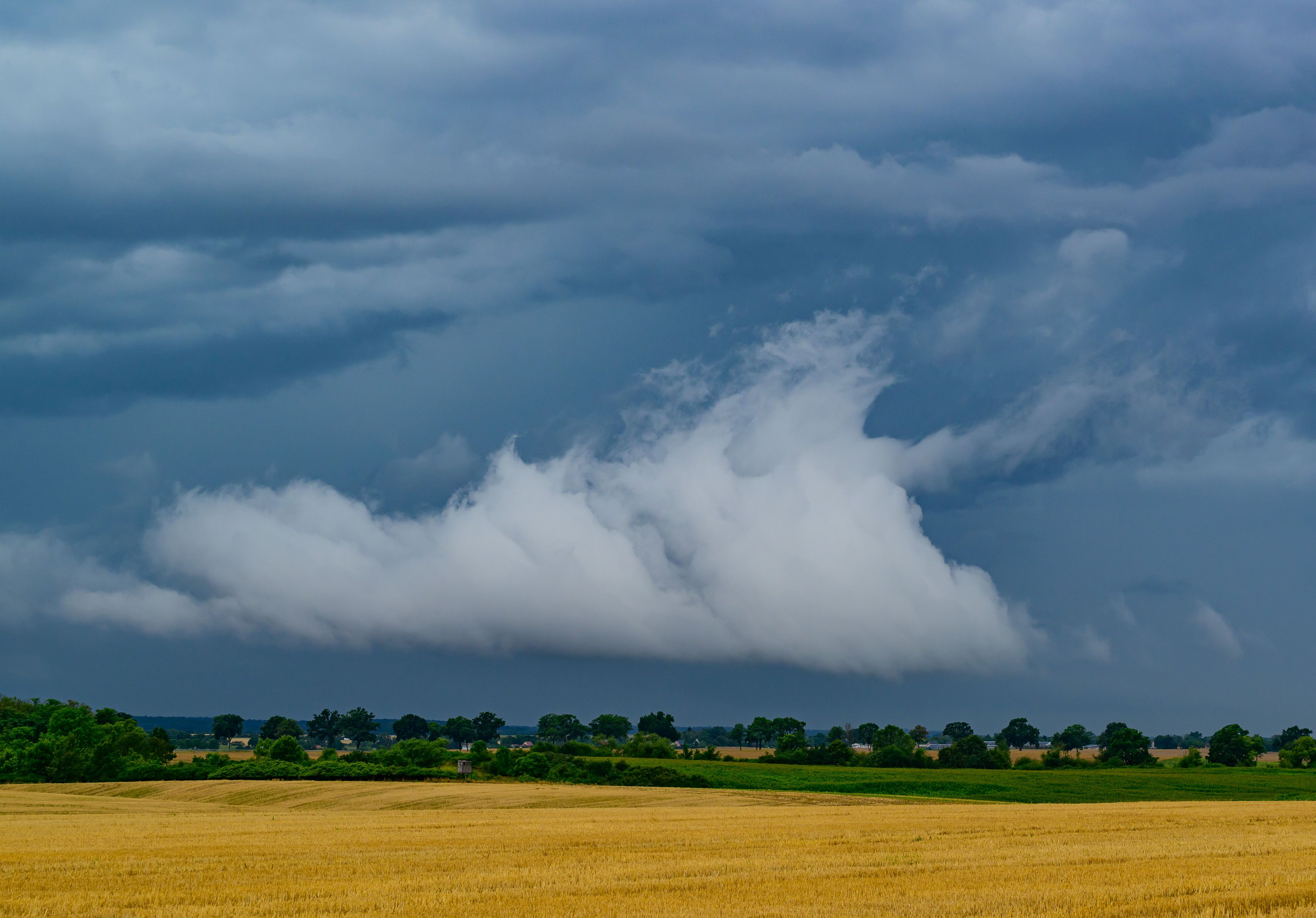 Heute.at - Sehr gefährlich – Wetter-Experte warnt jetzt alle