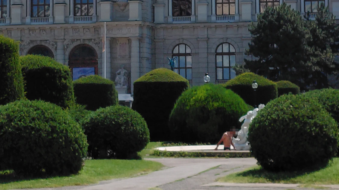 Statt ins Museum zu gehen, sprang der Wiener in den Brunnen.