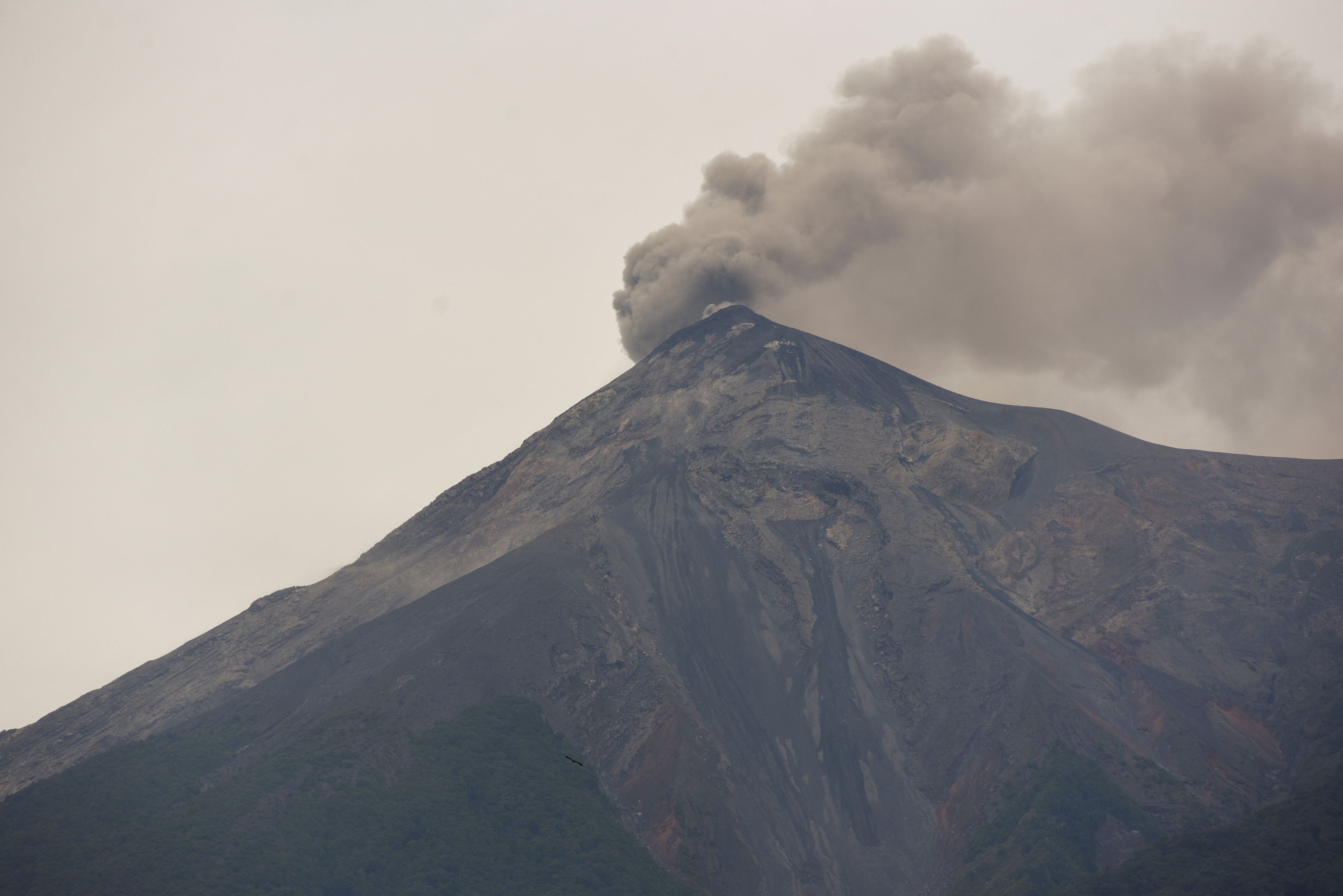 Nach dem Ausbruch des Volcán de Fuego hat Guatemala die höchste Warnstufe Rot für mehrere betroffene Regionen ausgerufen.