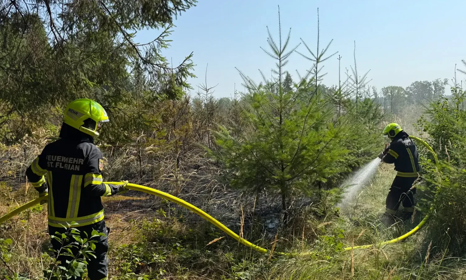 Heute.at - Viel zu trocken – plötzlich geht Wald in Flammen auf