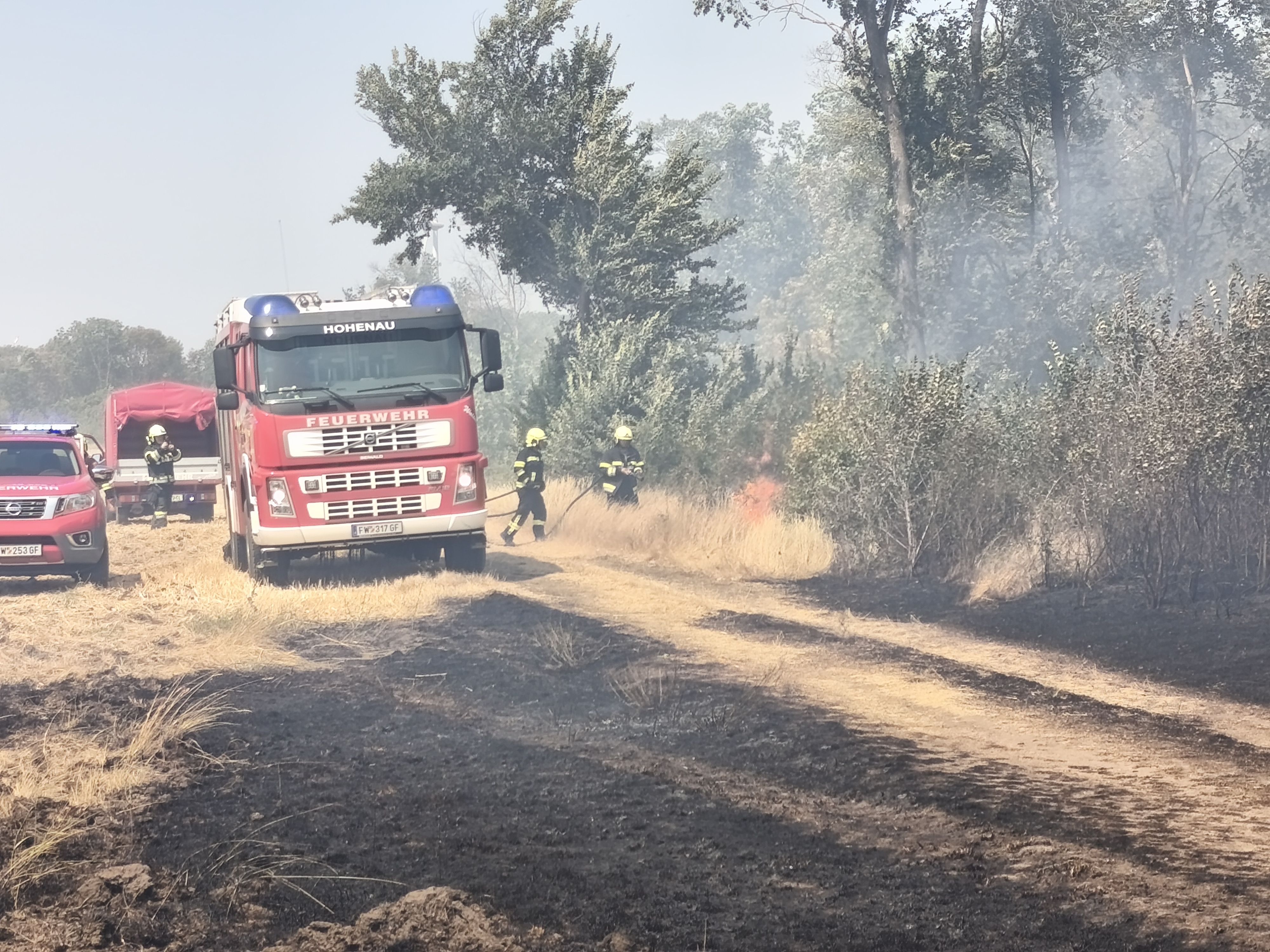 Ausgedehnter Vegetationsbrand im Bezirk Gänserndorf