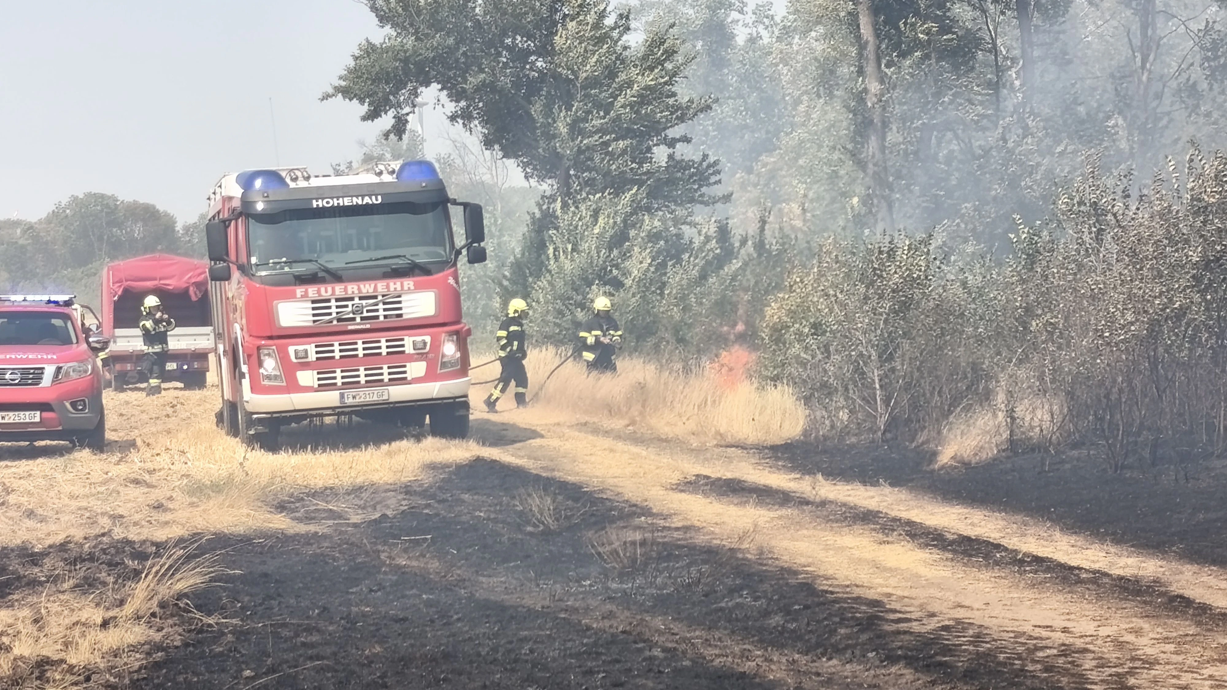Heute.at - Nächster Waldbrand in NÖ! 150 Florianis im Einsatz