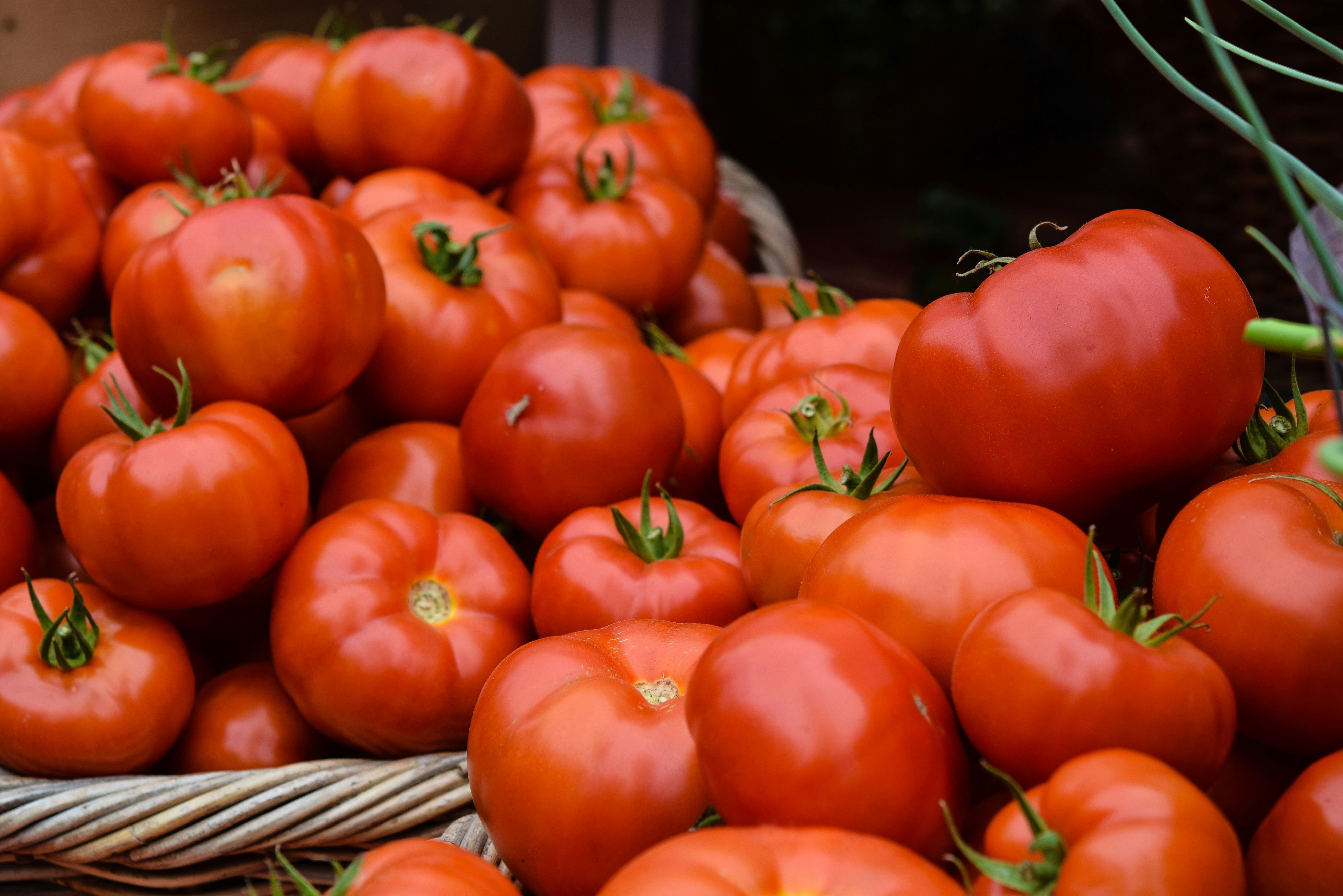 Reife Tomaten sind viel zu schade für den Müll.