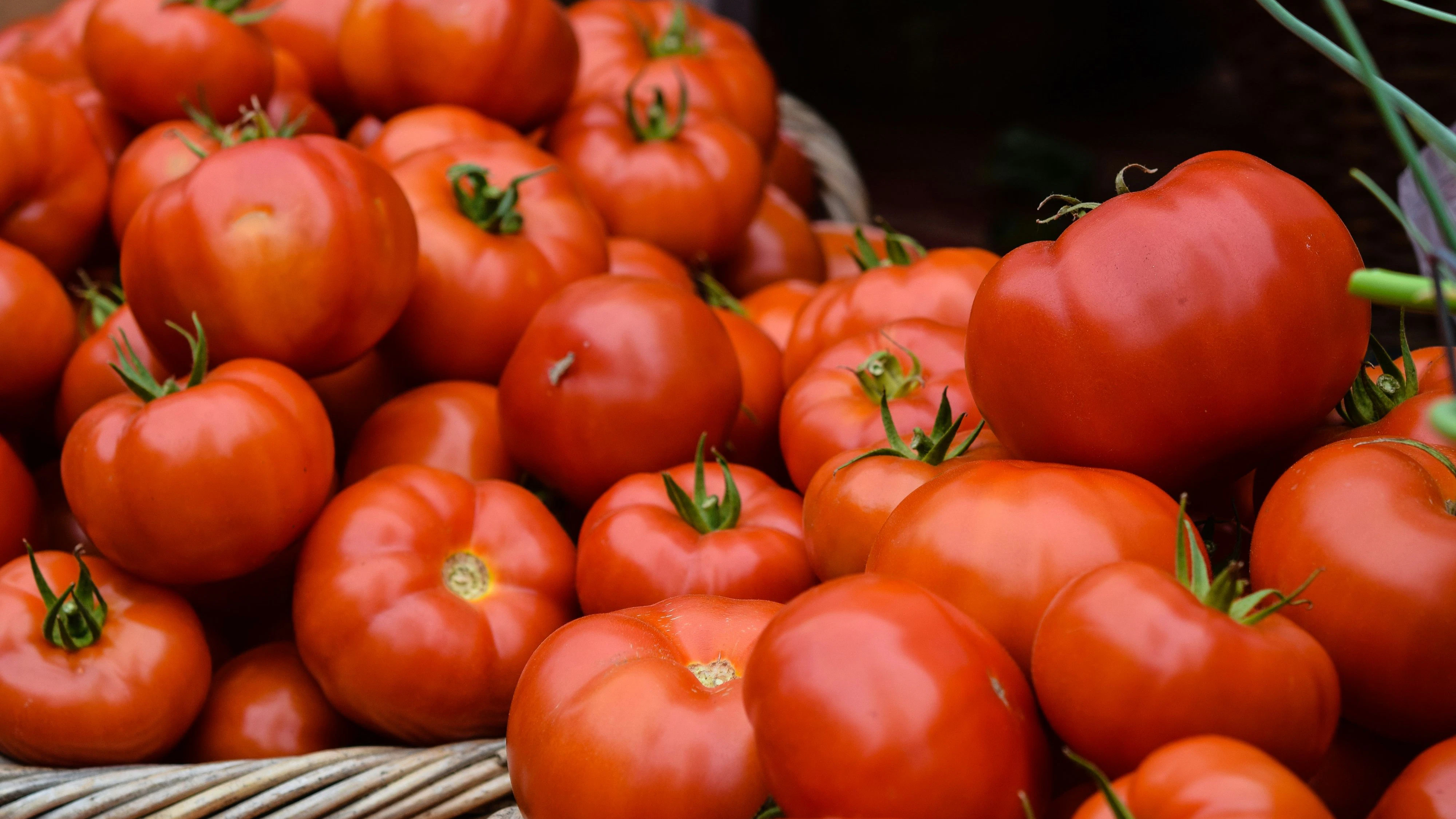 Heute.at - Tomaten einfrieren? Das musst du unbedingt wissen