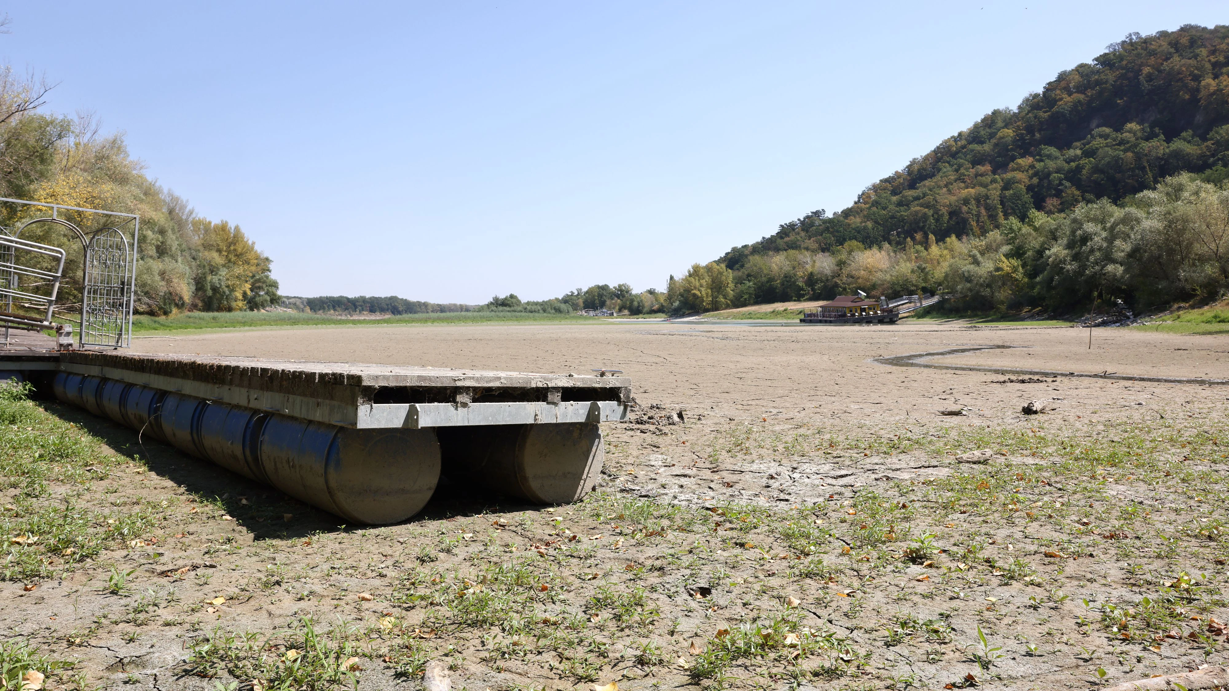 Heute.at - Wassermangel bedroht Fische und Grundwasser