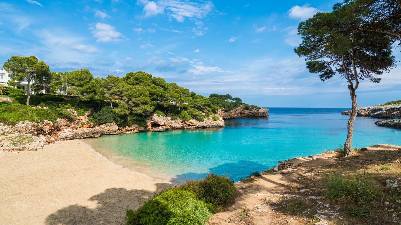 An zwei beliebten Stränden auf Mallorca sind mehrere Urlauber offenbar von Fischen verletzt worden. (Symbolbild)