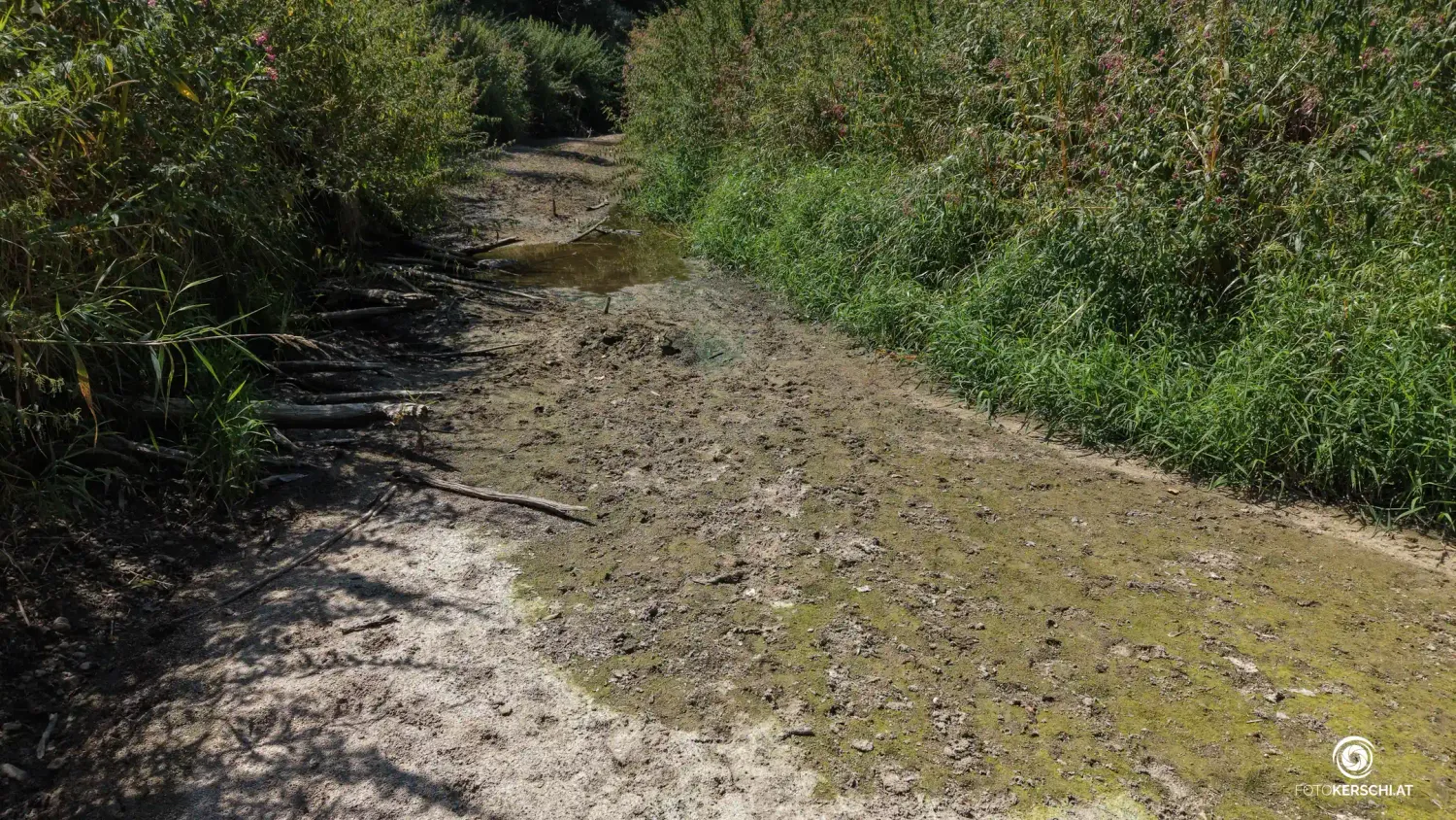 In verschiedenen Orten im Weinviertel wird das Wasser knapp.