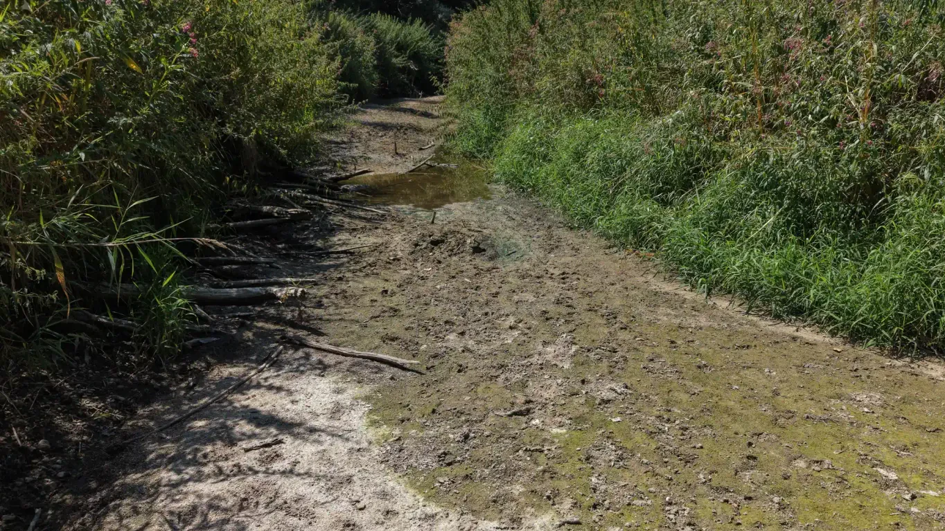 Heute.at - Grundwasser im Weinviertel wird immer knapper