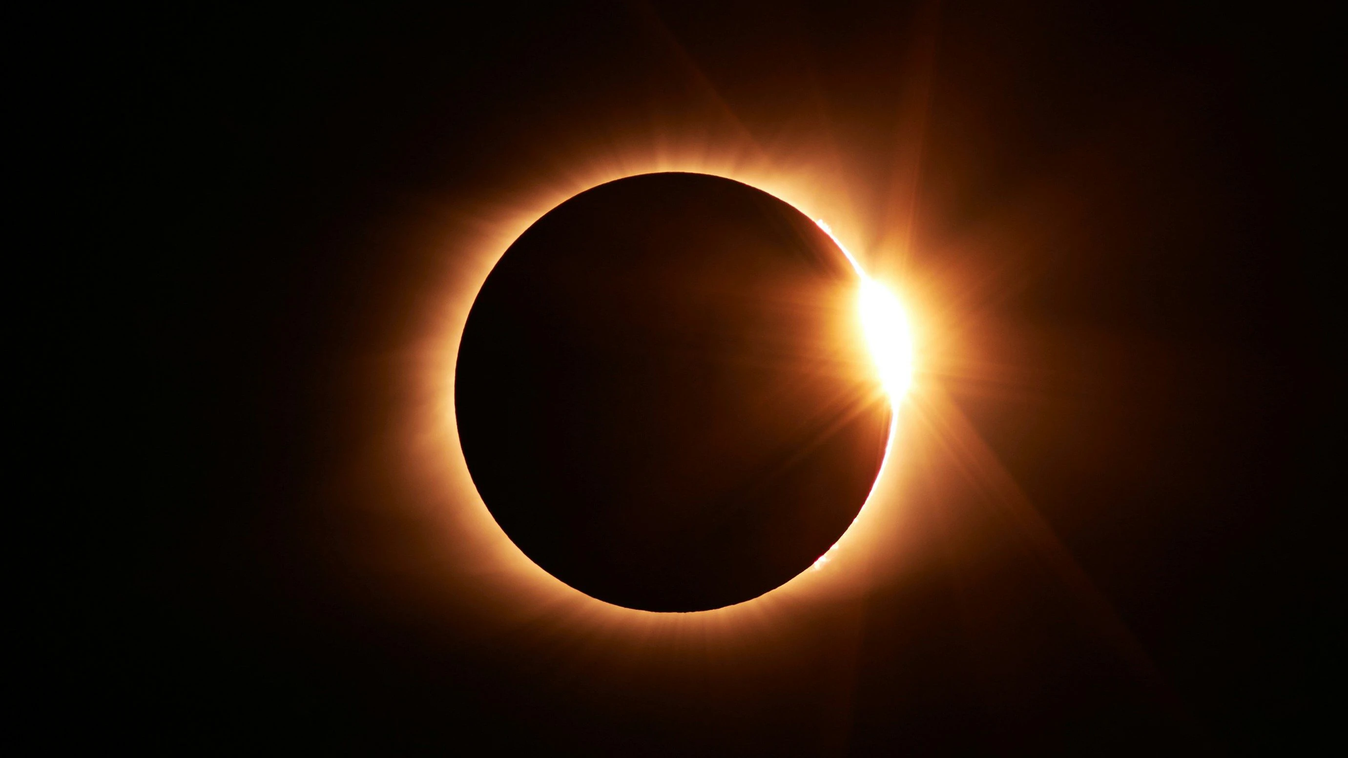 Heute.at - So reagiert die Tierwelt auf die Sonnenfinsternis
