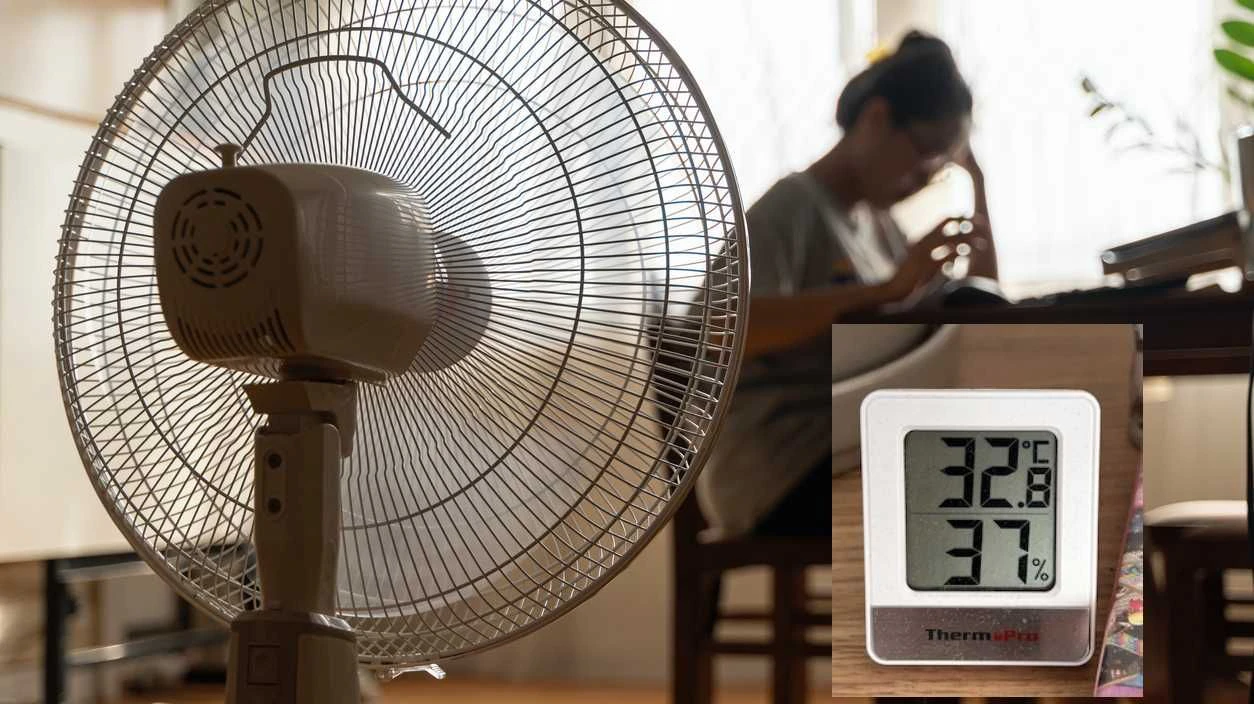 Heute.at - 32,8 Grad in Wohnung: Paar flüchtet vor Hitze in Hotel