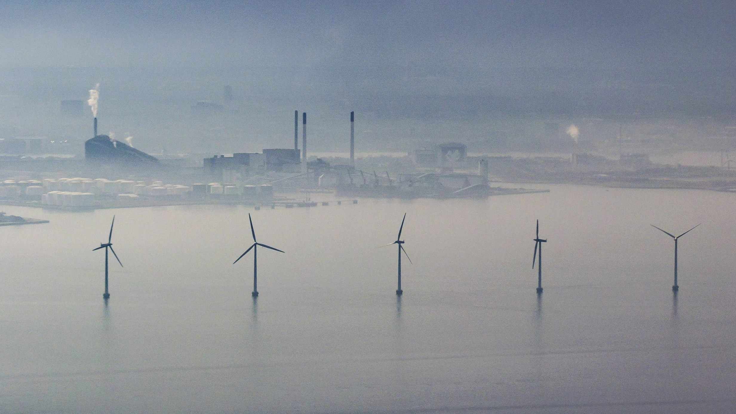 Heute.at - Trump zahlt RWE Milliarden gegen die Windkraft
