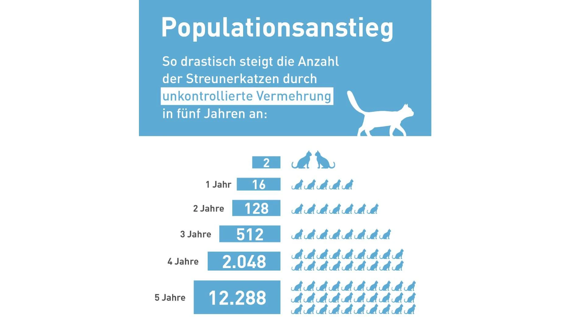 Die Streunerpyramide von Vier Pfoten zeigt sehr deutlich, wie schnell nur ein Katzenpaar zum Problem werden kann, wenn nicht kastriert wird.