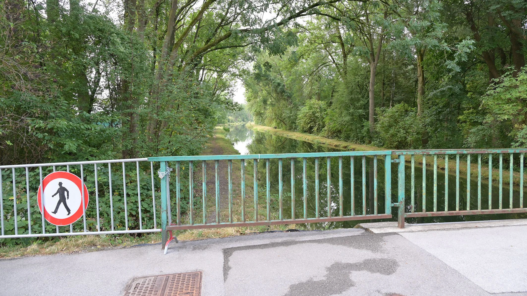 Heute.at - Schwere Biberschäden: St. Pölten sperrt Straße ab
