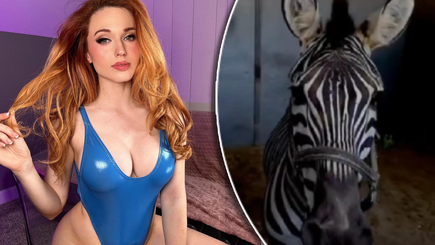 OnlyFans-Star Amouranth kauft sich ein Zebra