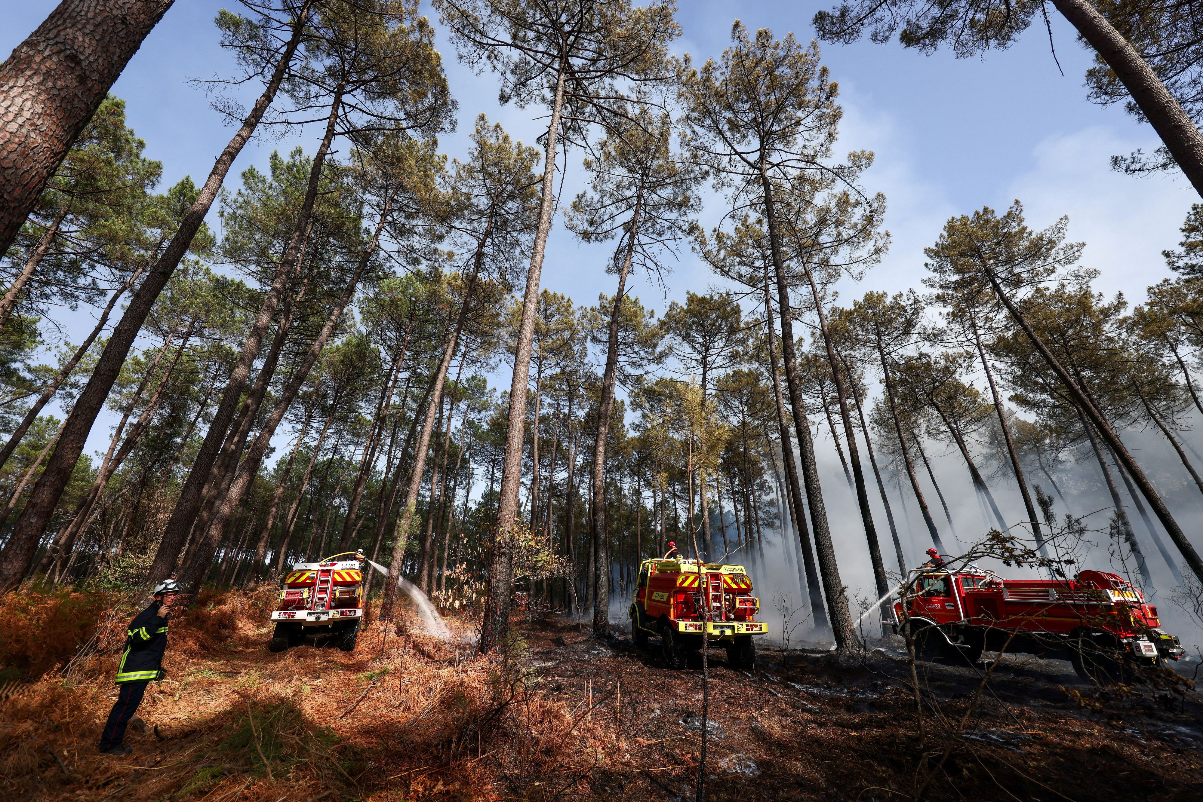 Mehr als 200 Feuerwehrleute haben am Sonntag in Südfrankreich gegen einen sich schnell ausbreitenden Waldbrand gekämpft.