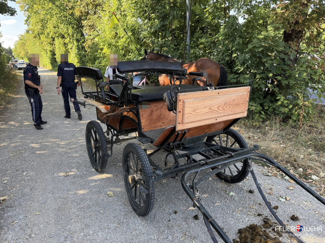 Schwerer Kutschenunfall in Fridau