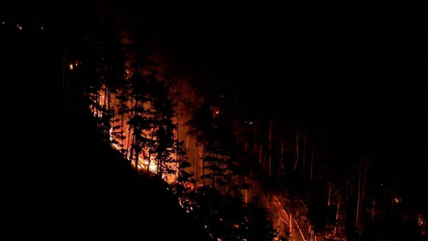 Waldbrand am Gardasee: Mehr als 200 Menschen evakuiert
