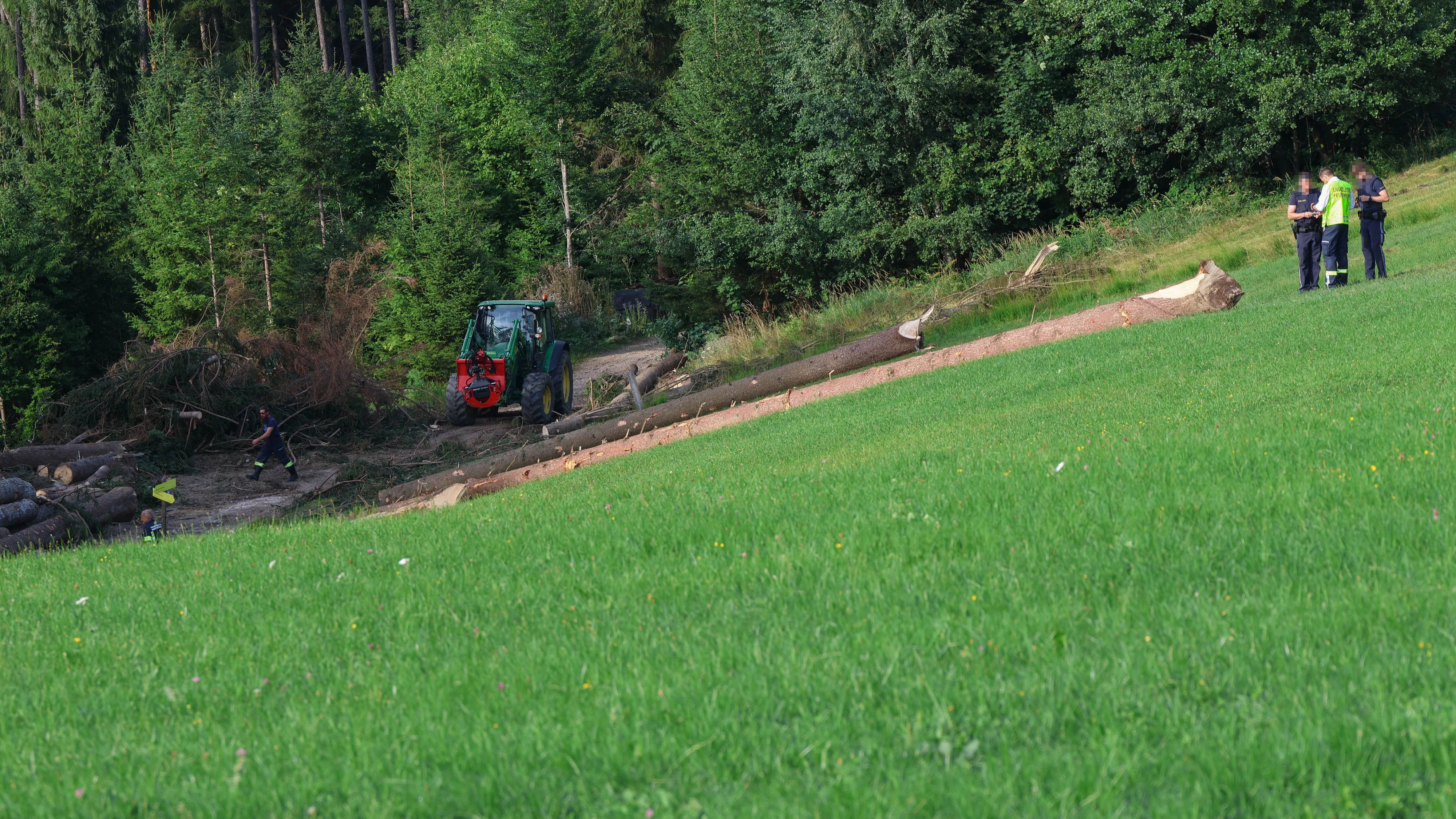 Heute.at - Mann in Oberösterreich von Baum erschlagen – tot