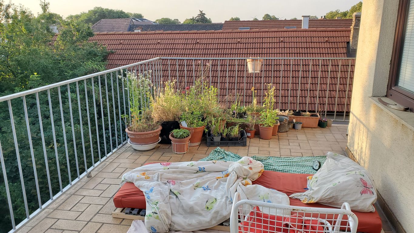 Heute.at - Zu heiß in der Wohnung! Darf ich am Balkon schlafen?