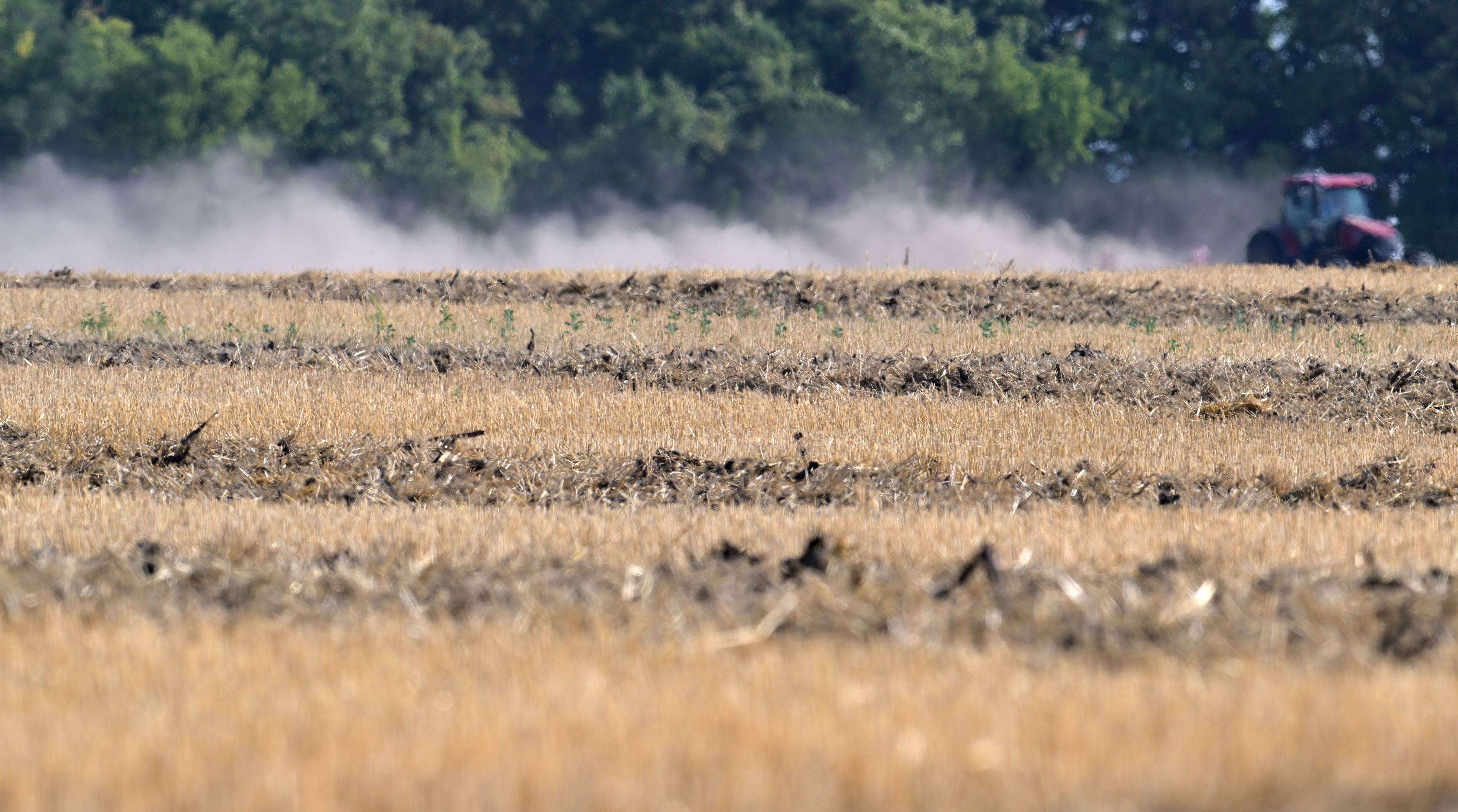 Die heimische Landwirtschaft steht wegen der Dürre unter Druck.