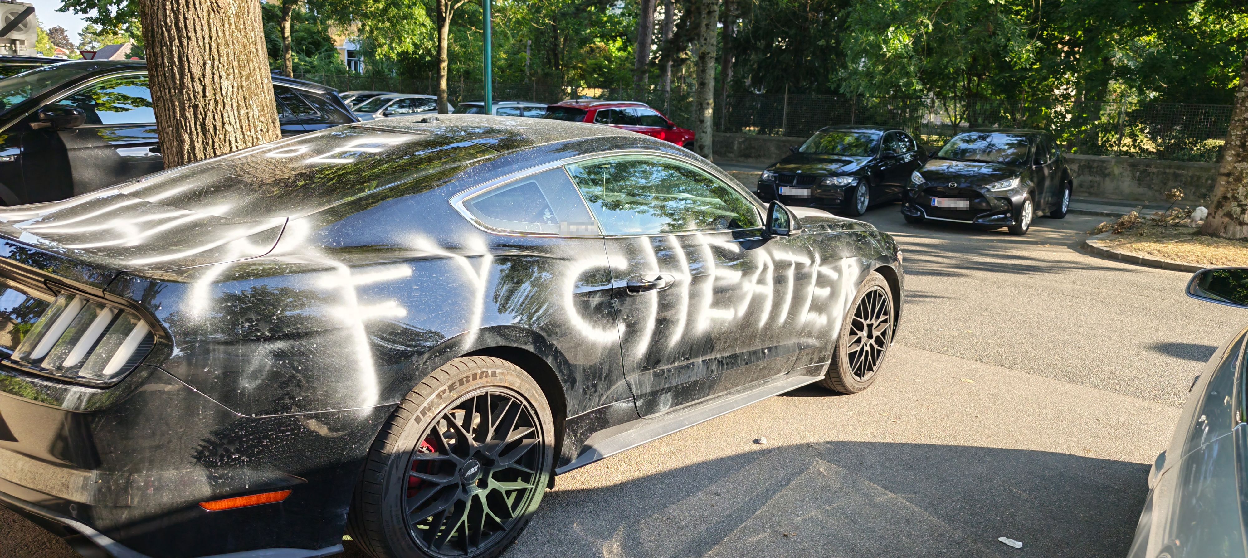 Heute.at - Fi** dich, Betrüger! Frau rächt sich an Luxus-Auto