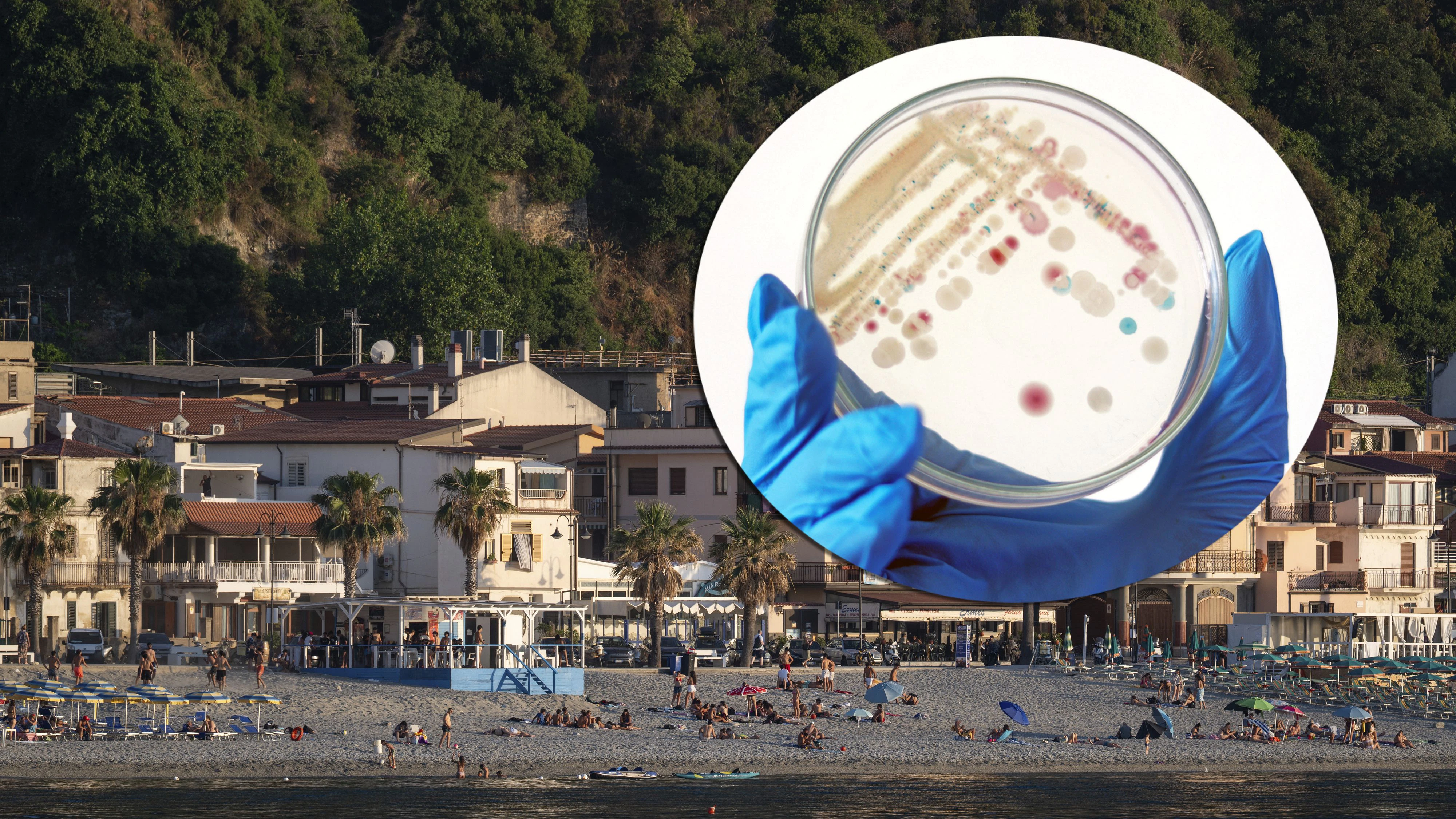 Heute.at - Killer-Keime vor Italiens Küste nachgewiesen