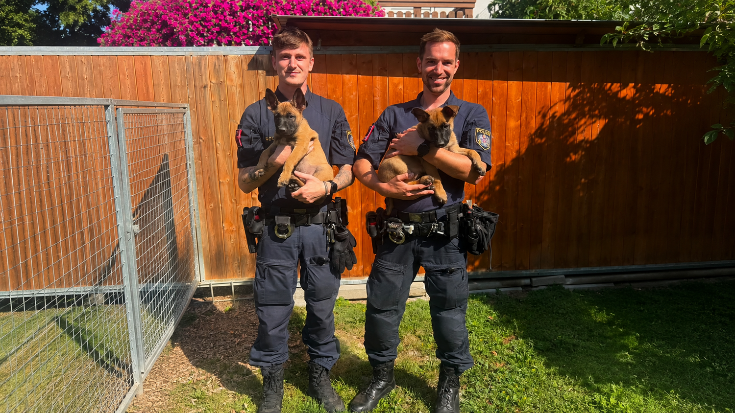Markus und Egon (rechts) sowie Leon mit Ewald werden zu echten Teams ausgebildet.