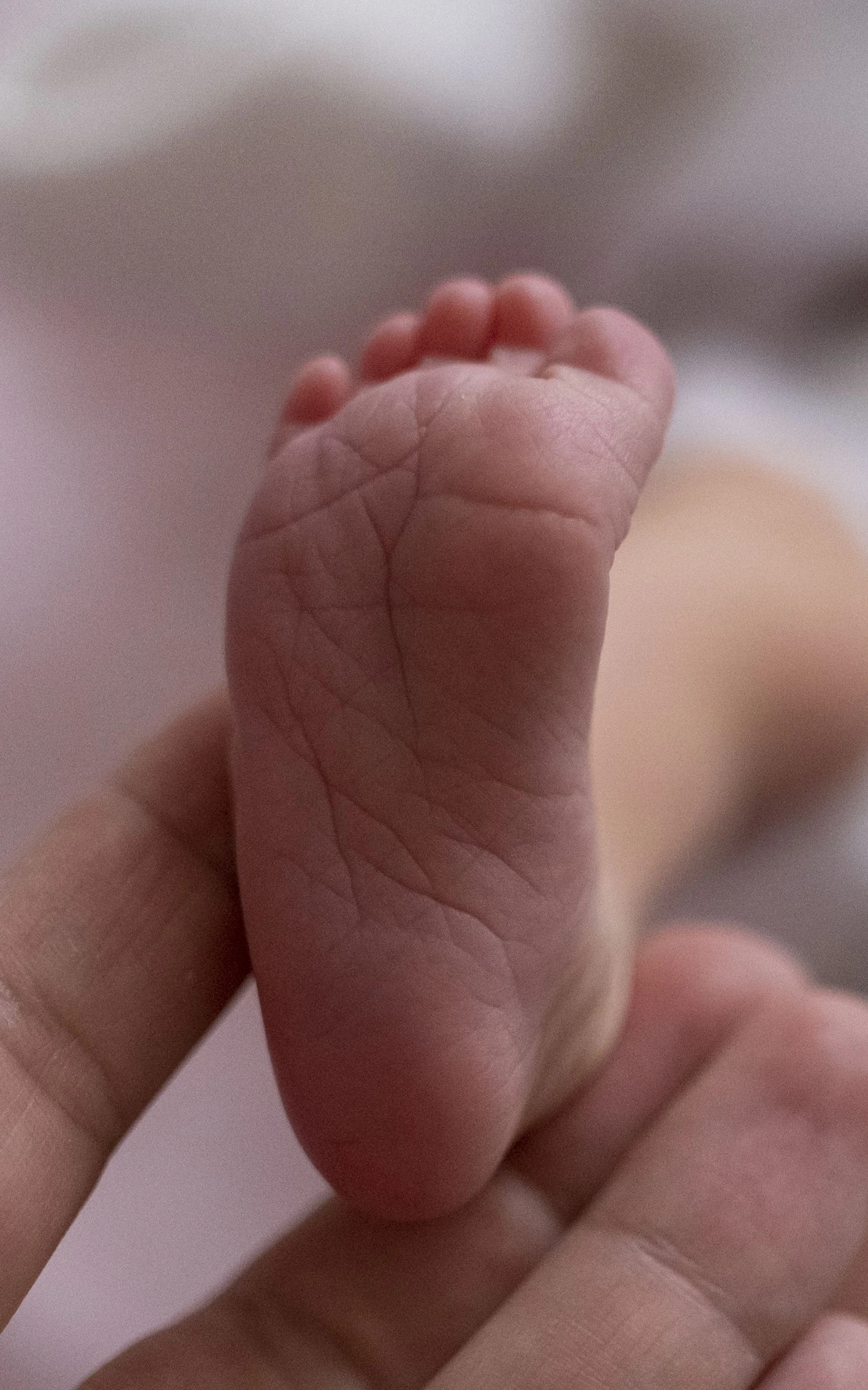 Und wie viel würden Sie für ein genetisch besseres Baby bezahlen?